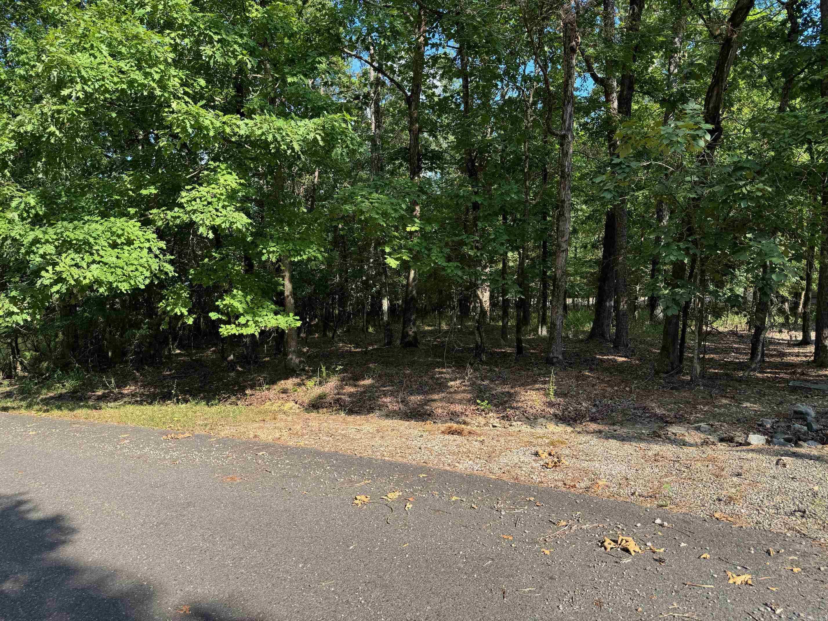 16 PONCE DE LEON CIRCLE  Hot Springs Village, AR