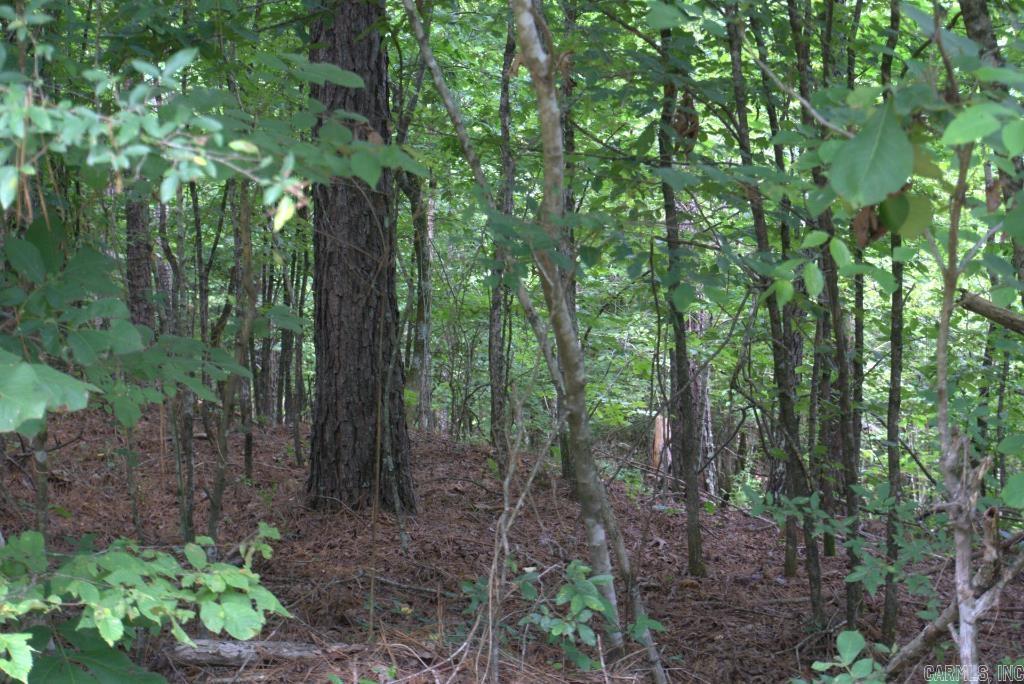  Chris  Amity, AR
