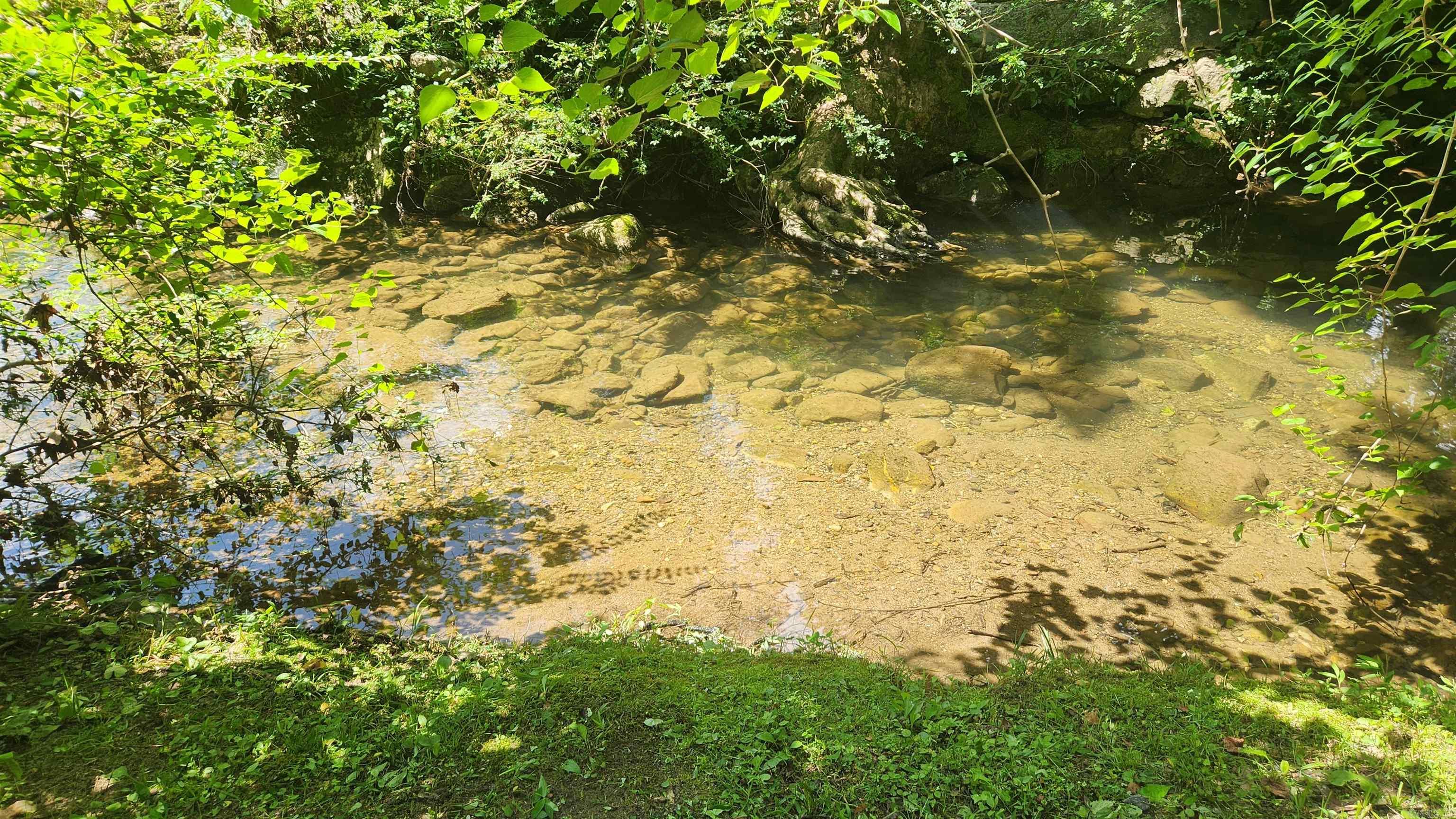 5277 E Hwy 270 lot #5 Mount Ida, AR