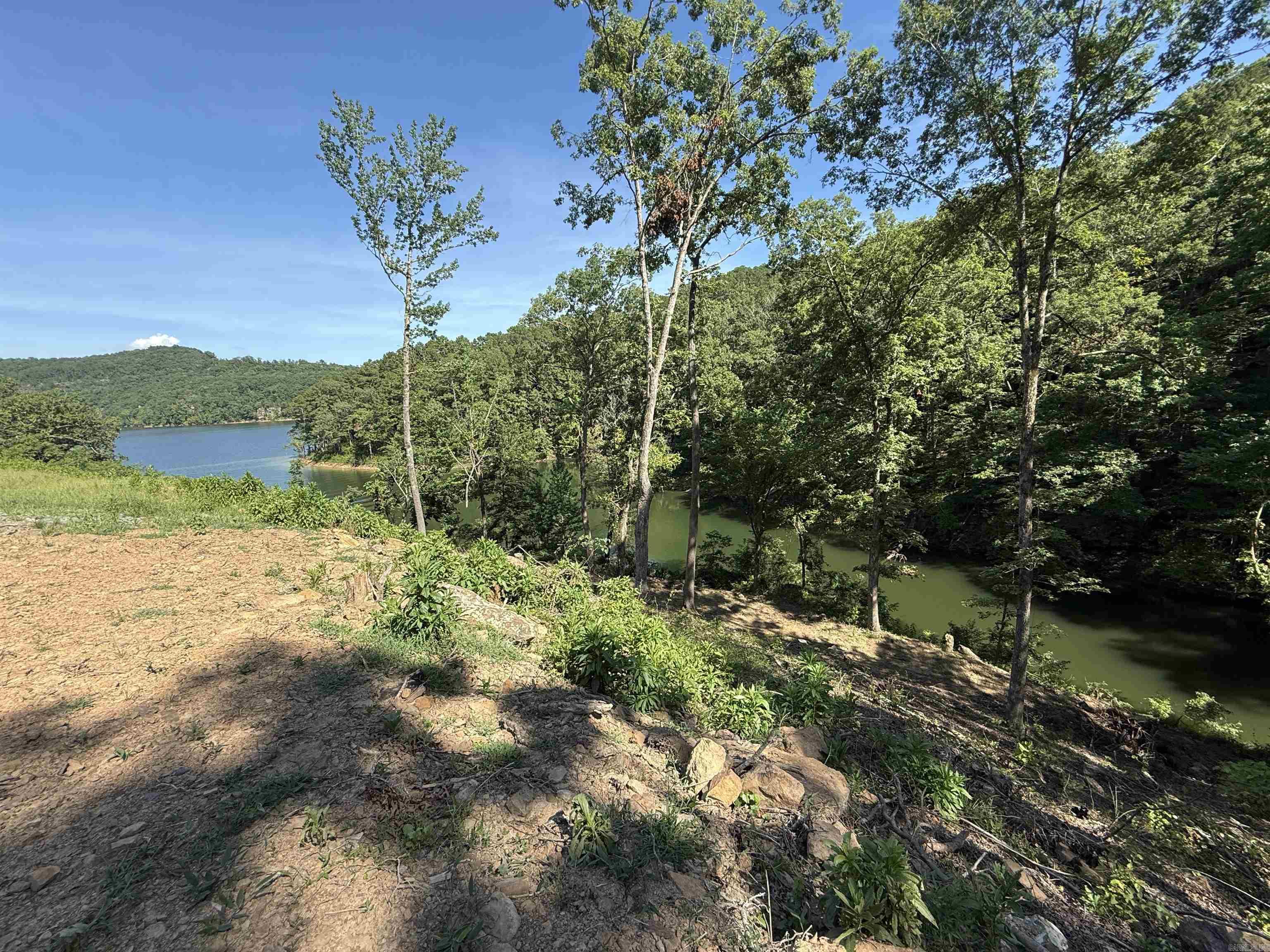 380 Lower Ridge Circle  Edgemont, AR
