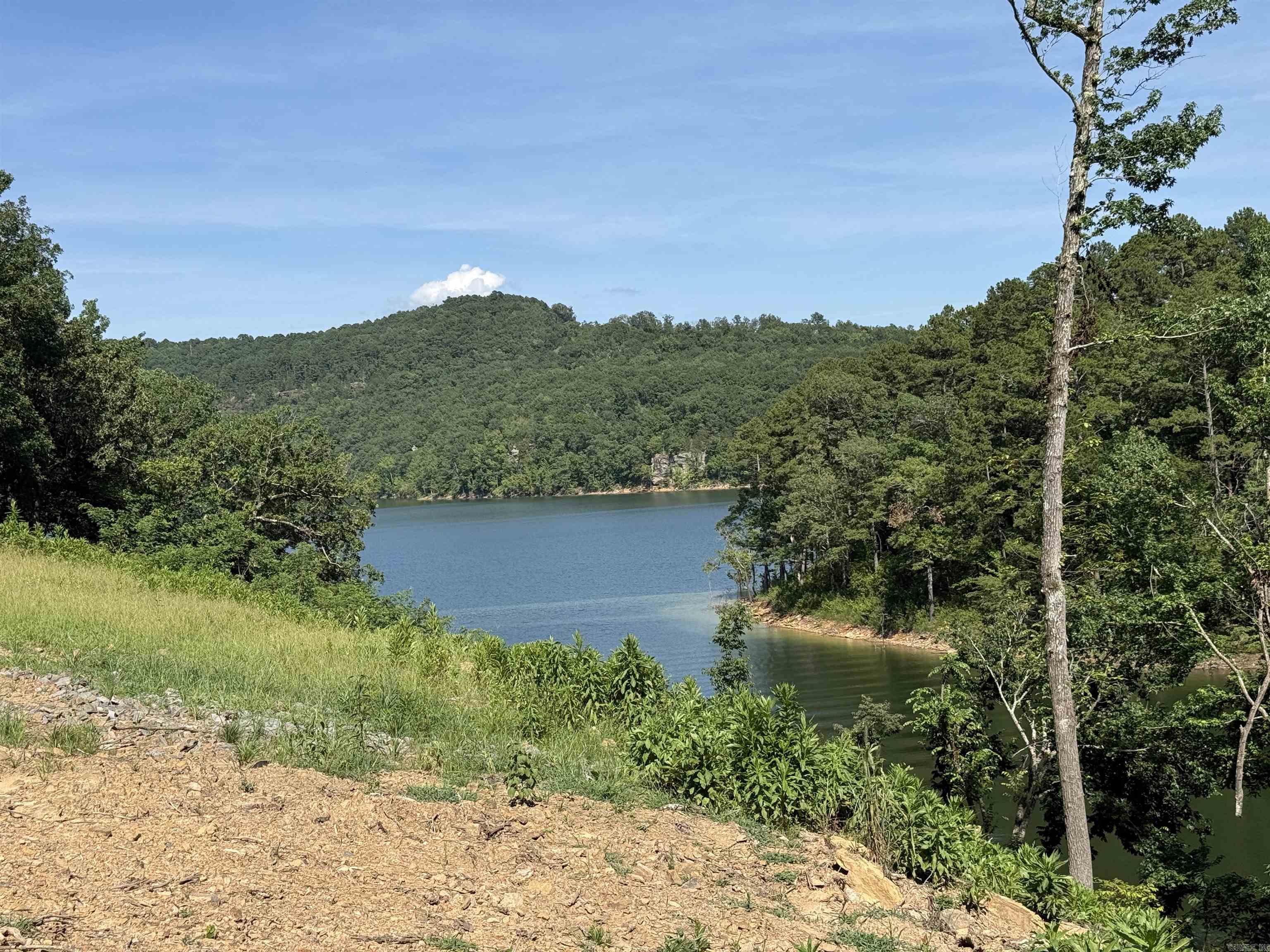 380 Lower Ridge Circle  Edgemont, AR