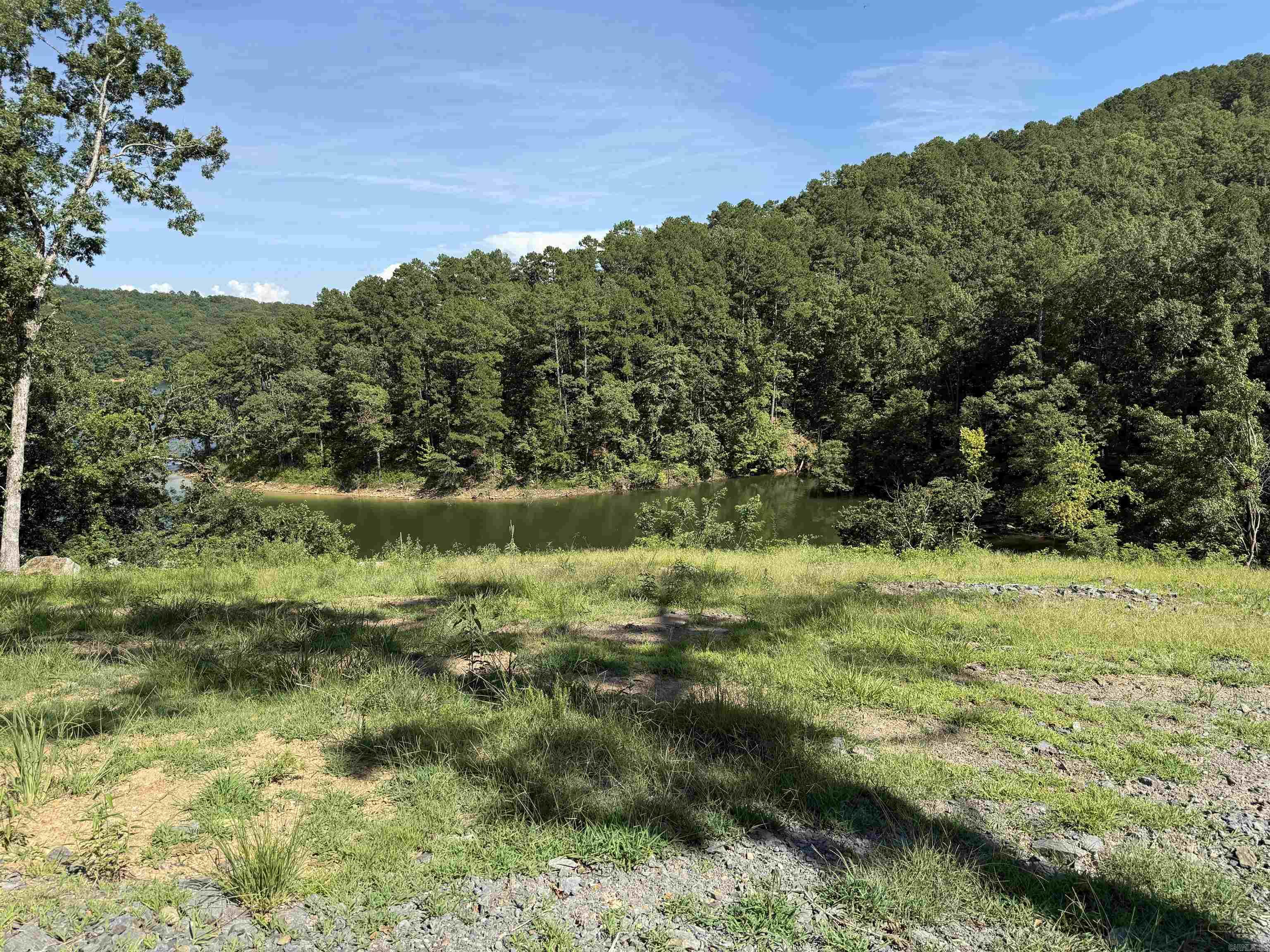 380 Lower Ridge Circle  Edgemont, AR