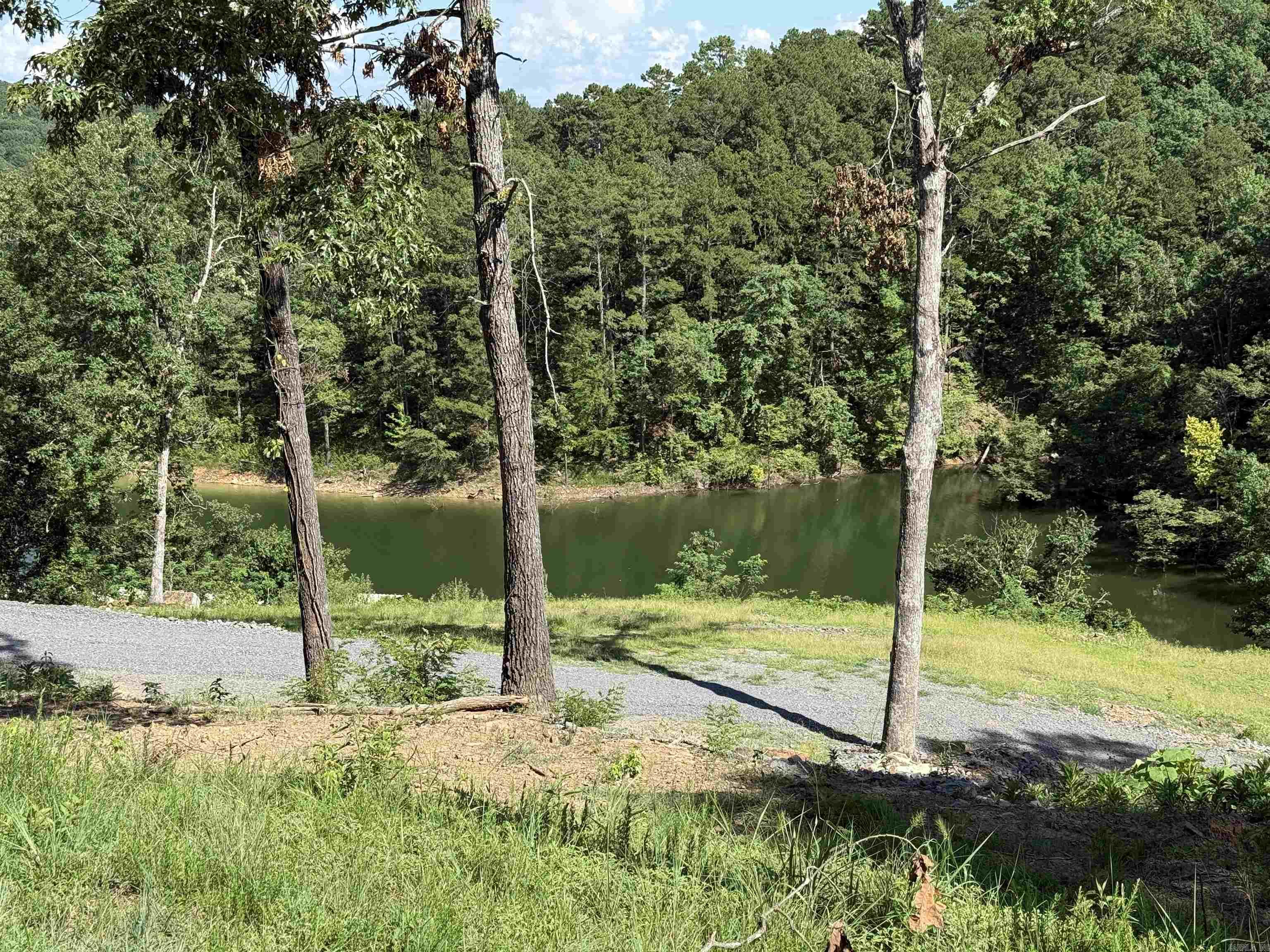 380 Lower Ridge Circle  Edgemont, AR