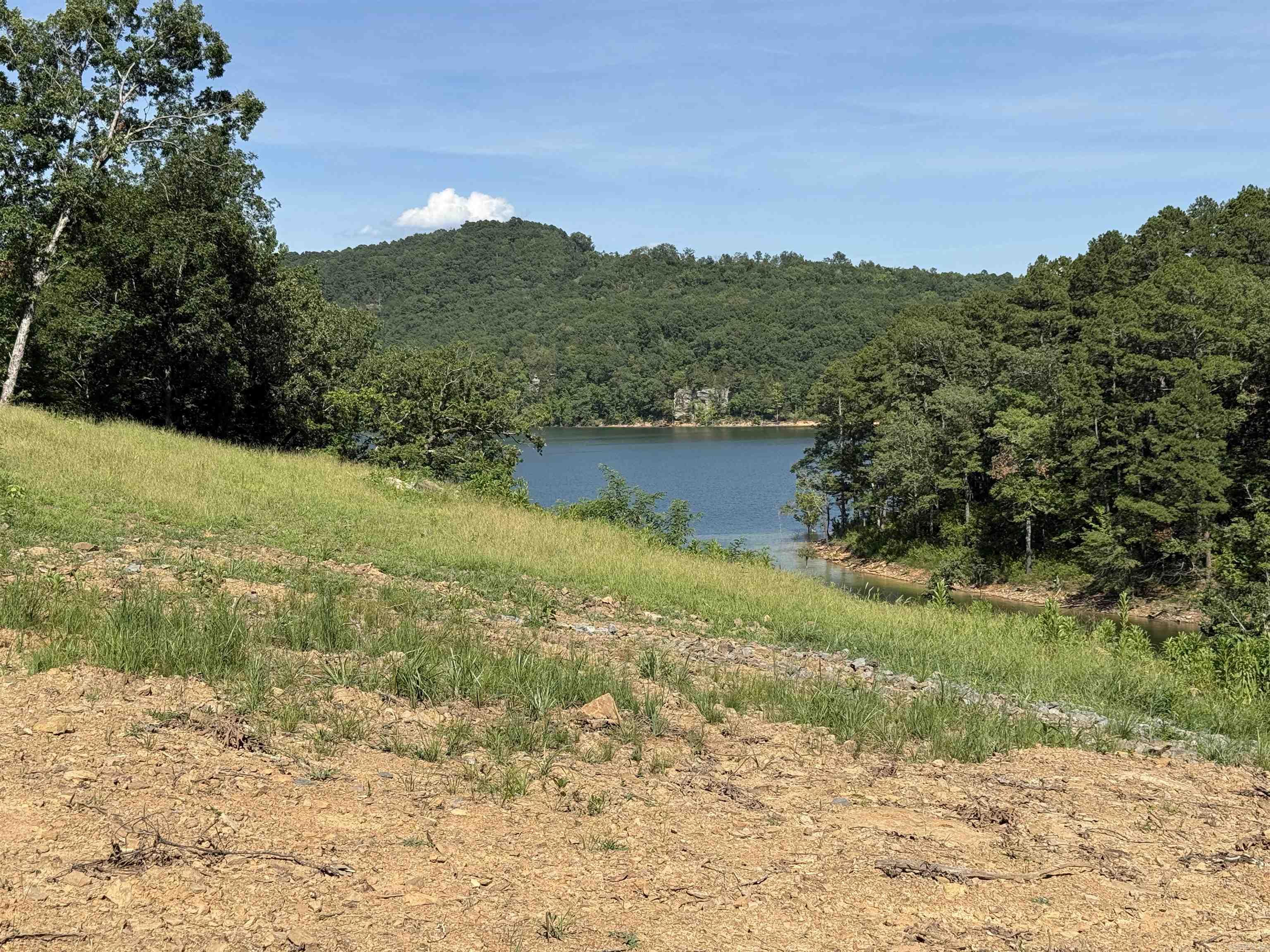 380 Lower Ridge Circle  Edgemont, AR