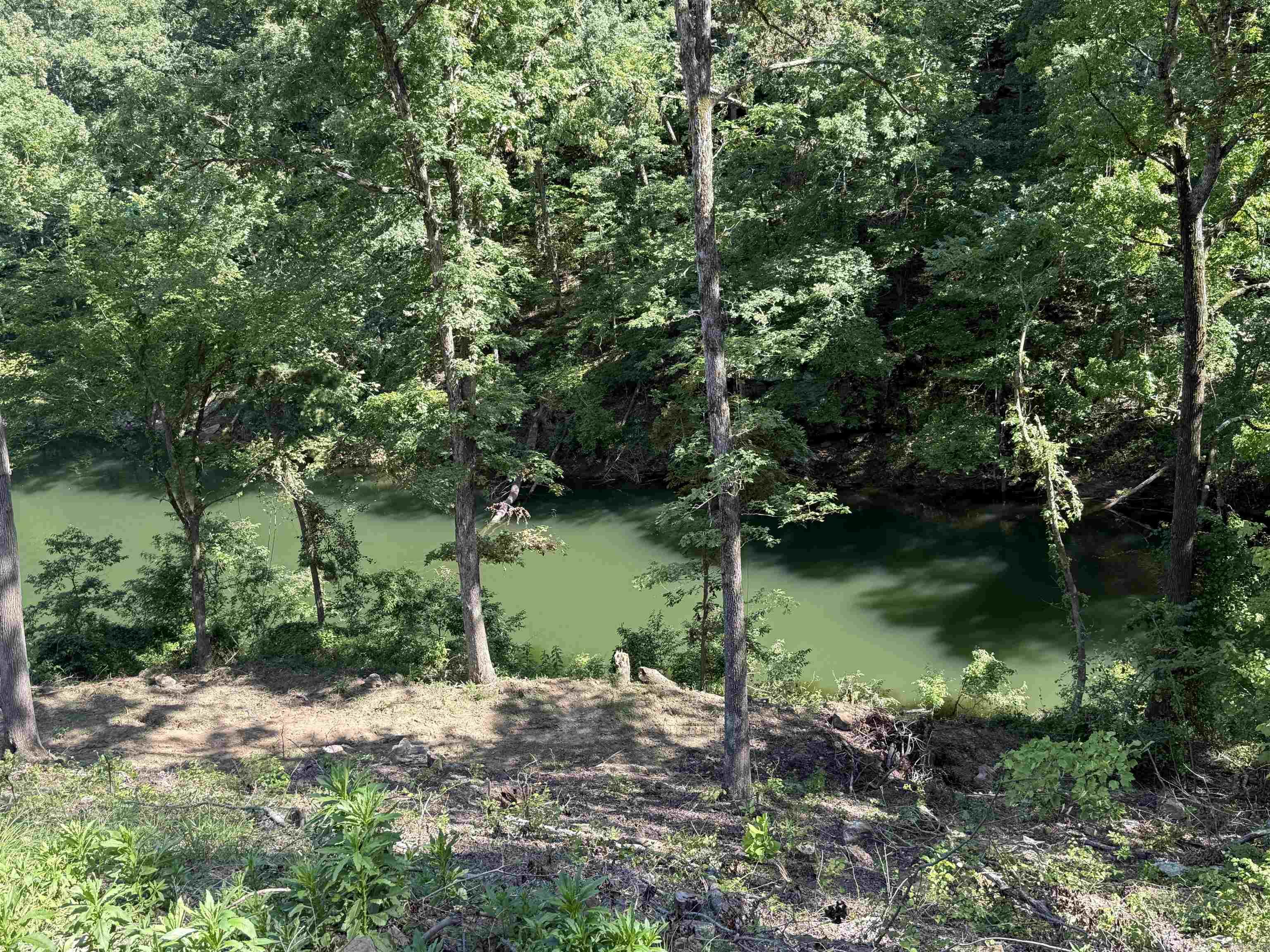 380 Lower Ridge Circle  Edgemont, AR