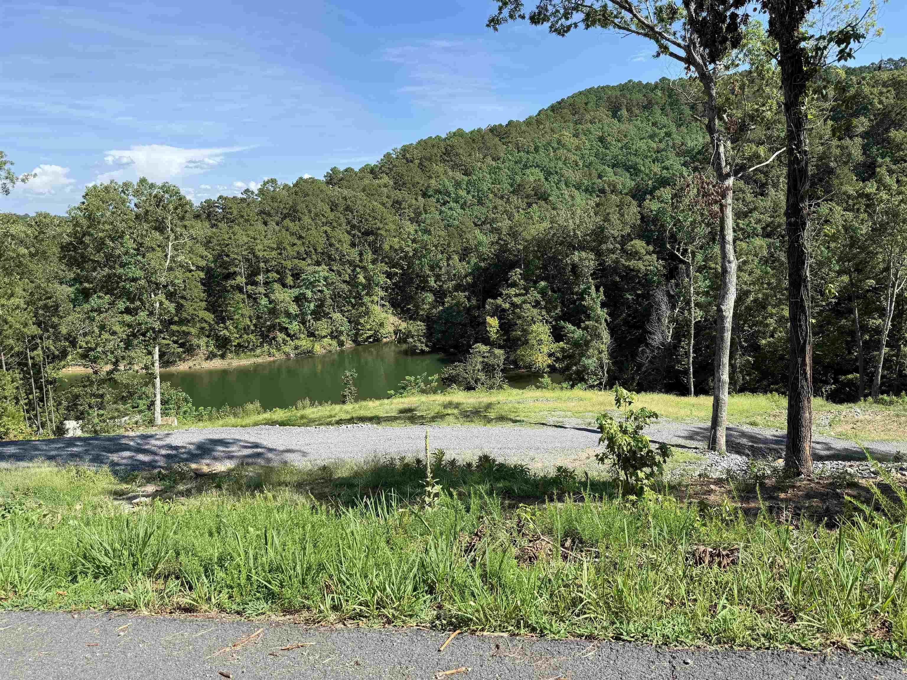 380 Lower Ridge Circle  Edgemont, AR