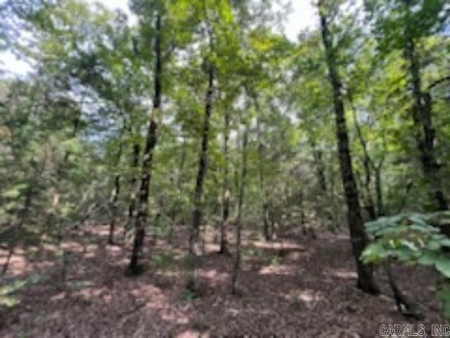 0 Truman Reynolds  Quitman, AR