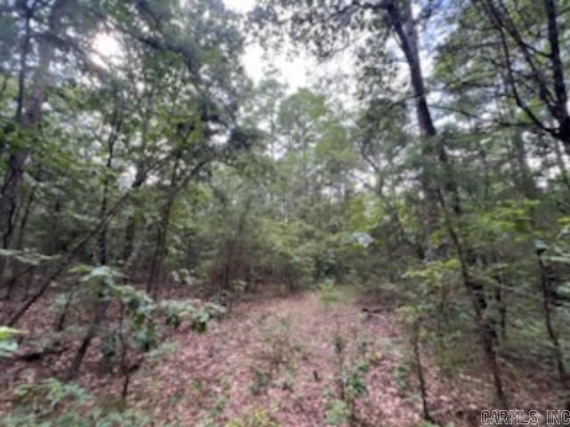 0 Truman Reynolds  Quitman, AR