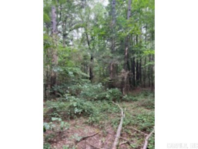 0 Truman Reynolds  Quitman, AR
