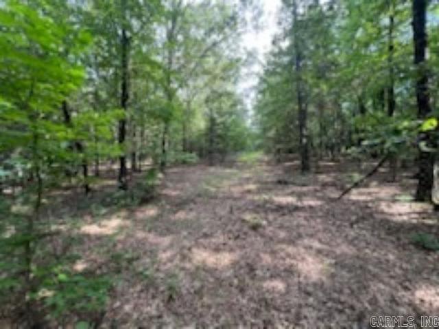 0 Truman Reynolds  Quitman, AR