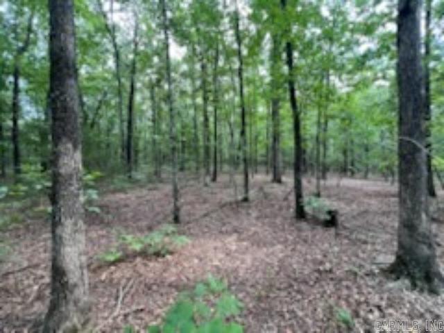 0 Truman Reynolds  Quitman, AR