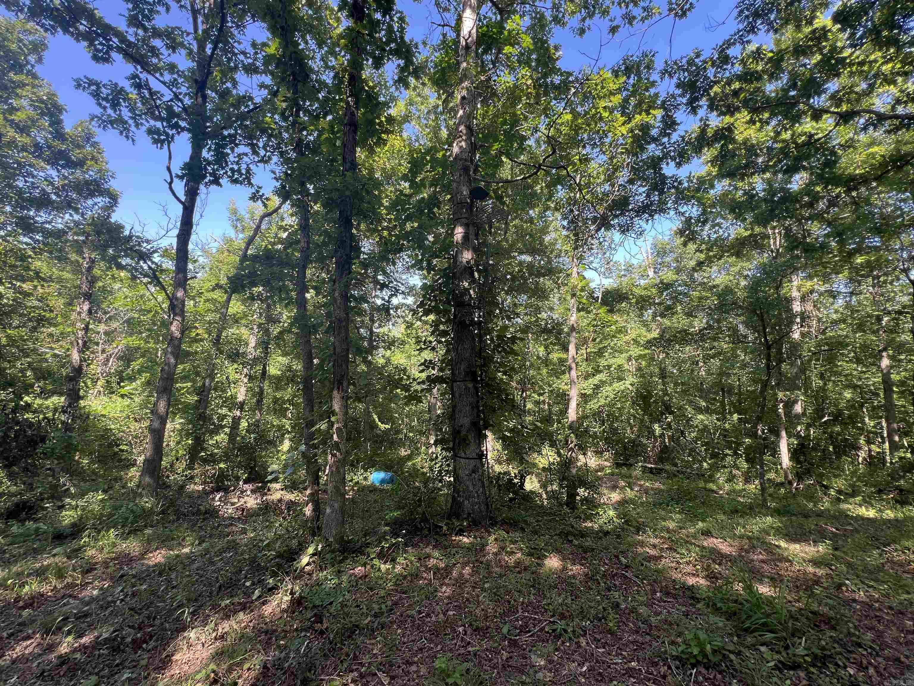 696 Old Highway 66  Leslie, AR