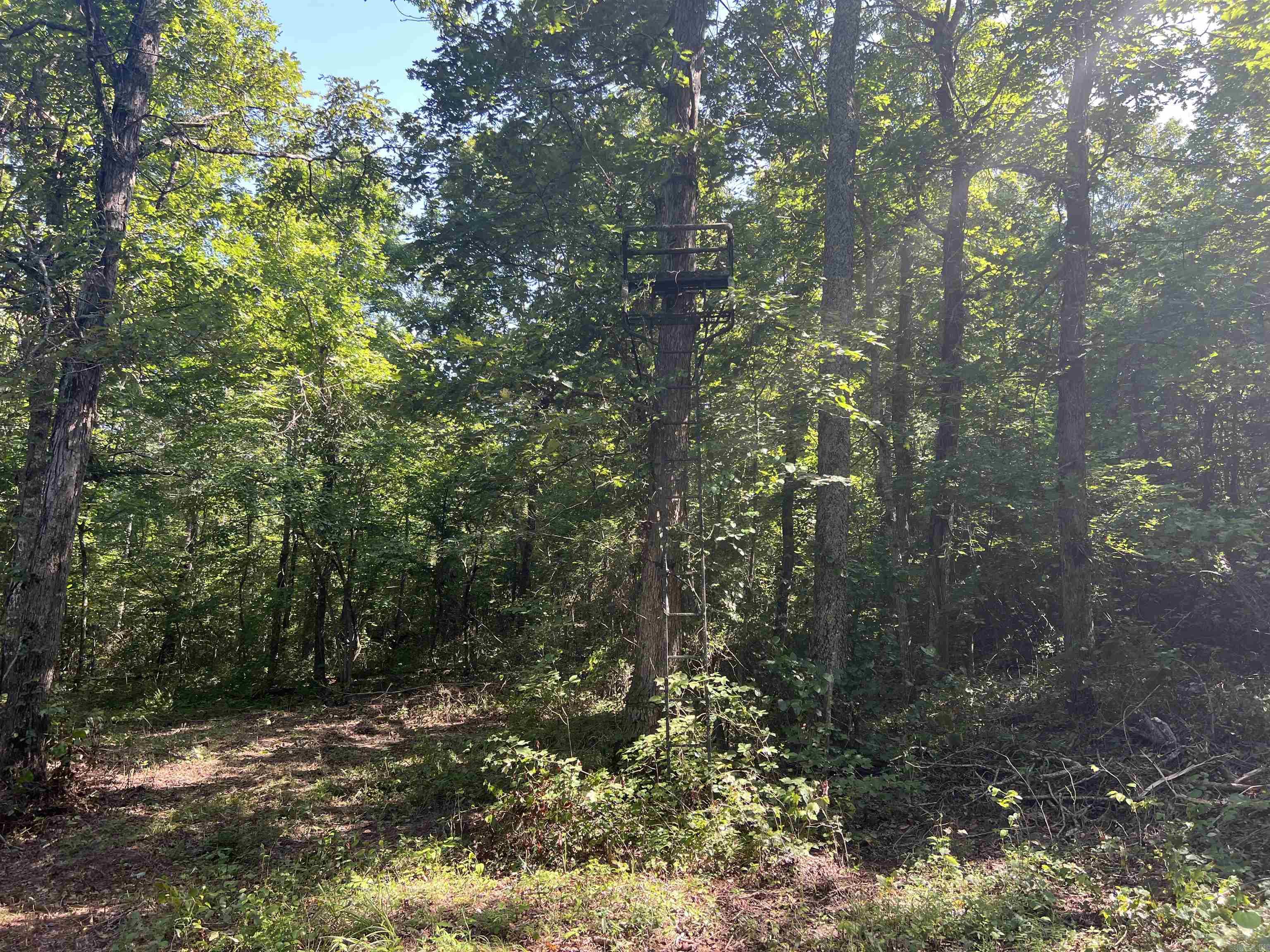696 Old Highway 66  Leslie, AR