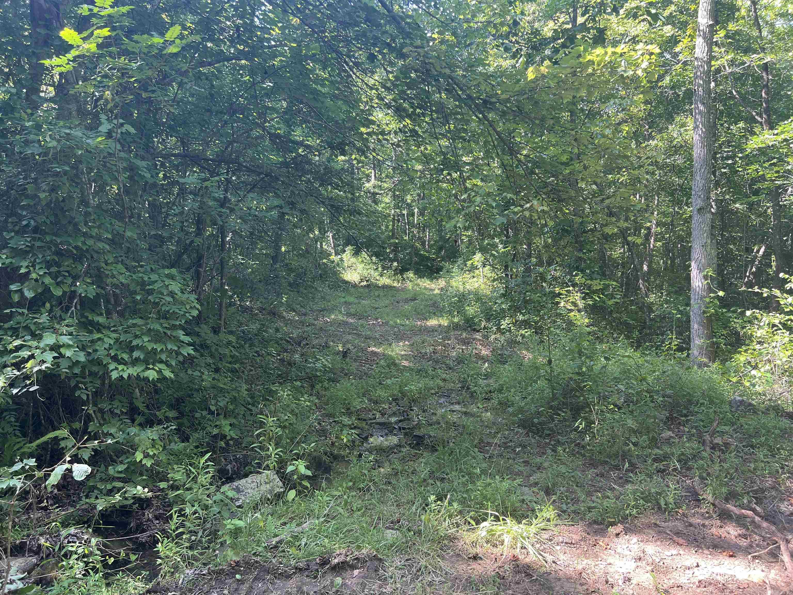 696 Old Highway 66  Leslie, AR