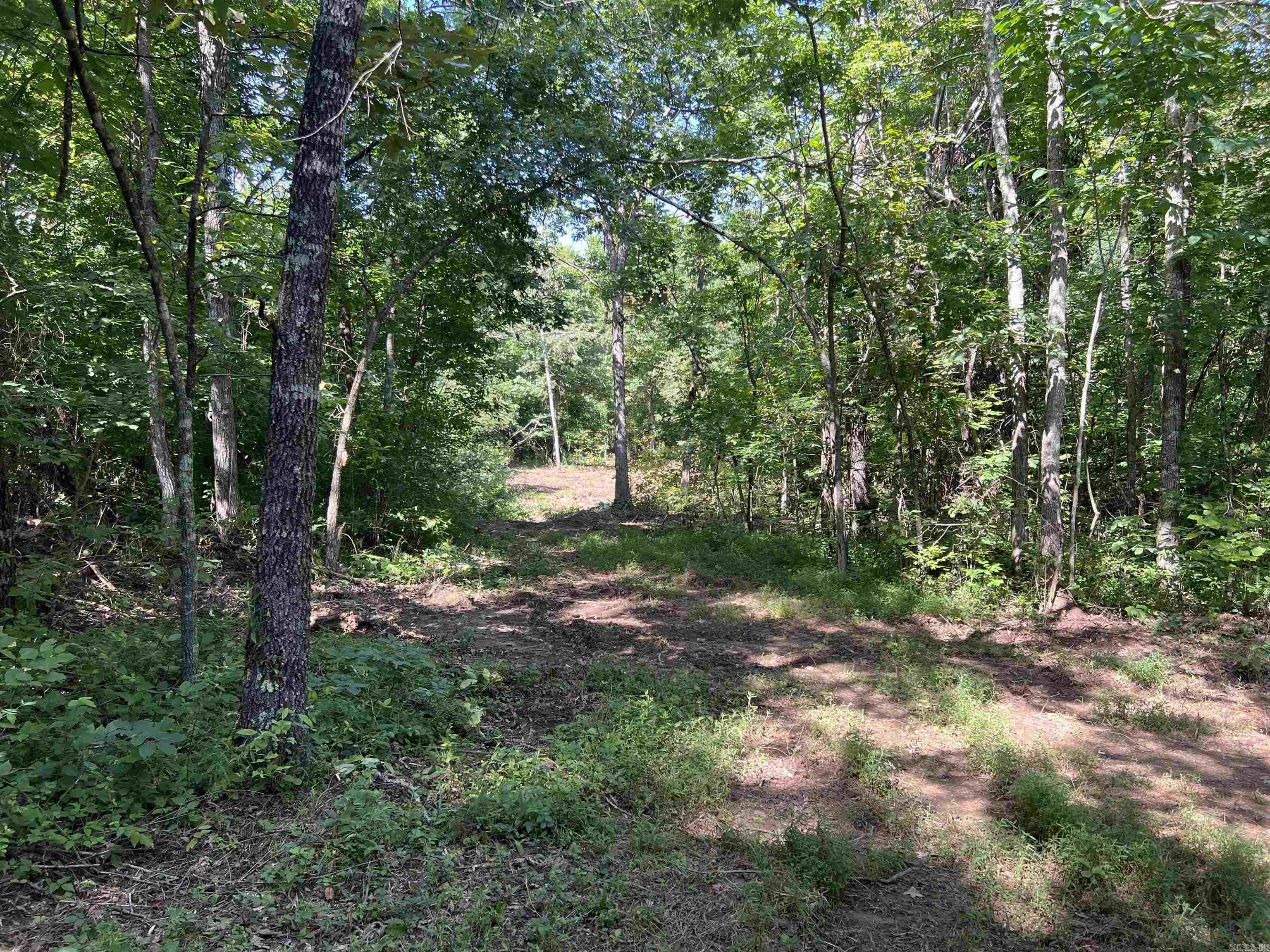 696 Old Highway 66  Leslie, AR