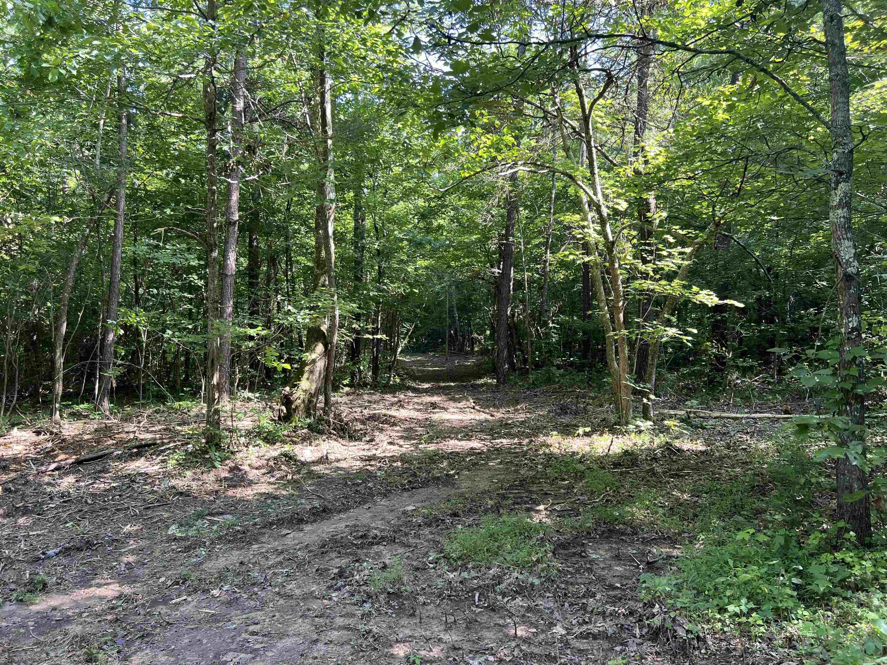 696 Old Highway 66  Leslie, AR