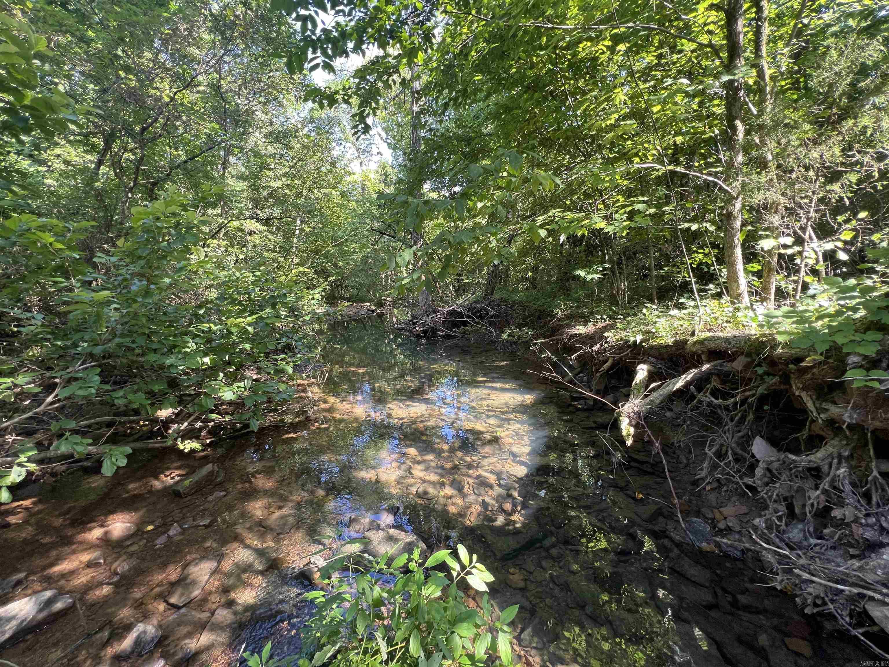 696 Old Highway 66  Leslie, AR