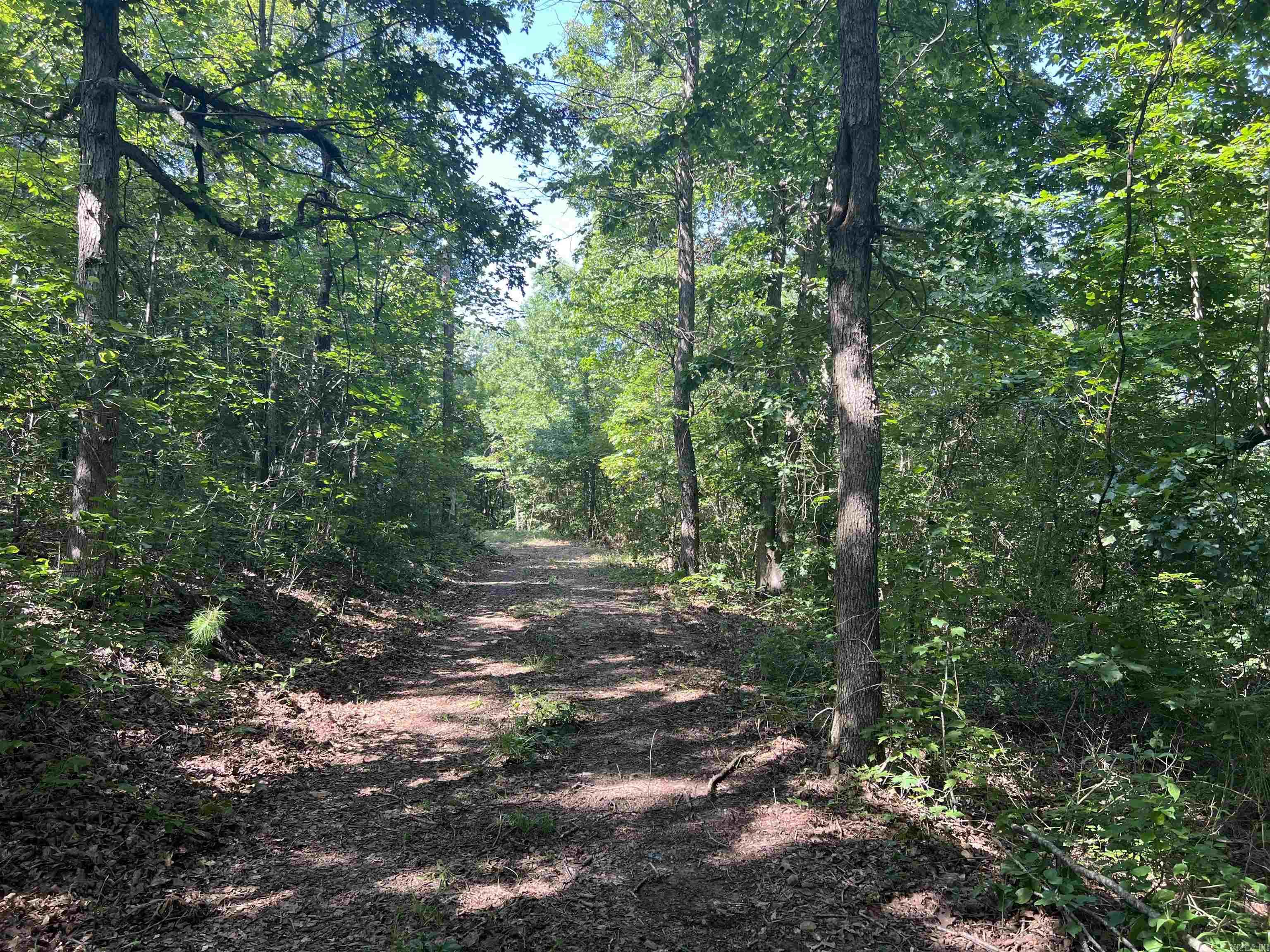 696 Old Highway 66  Leslie, AR