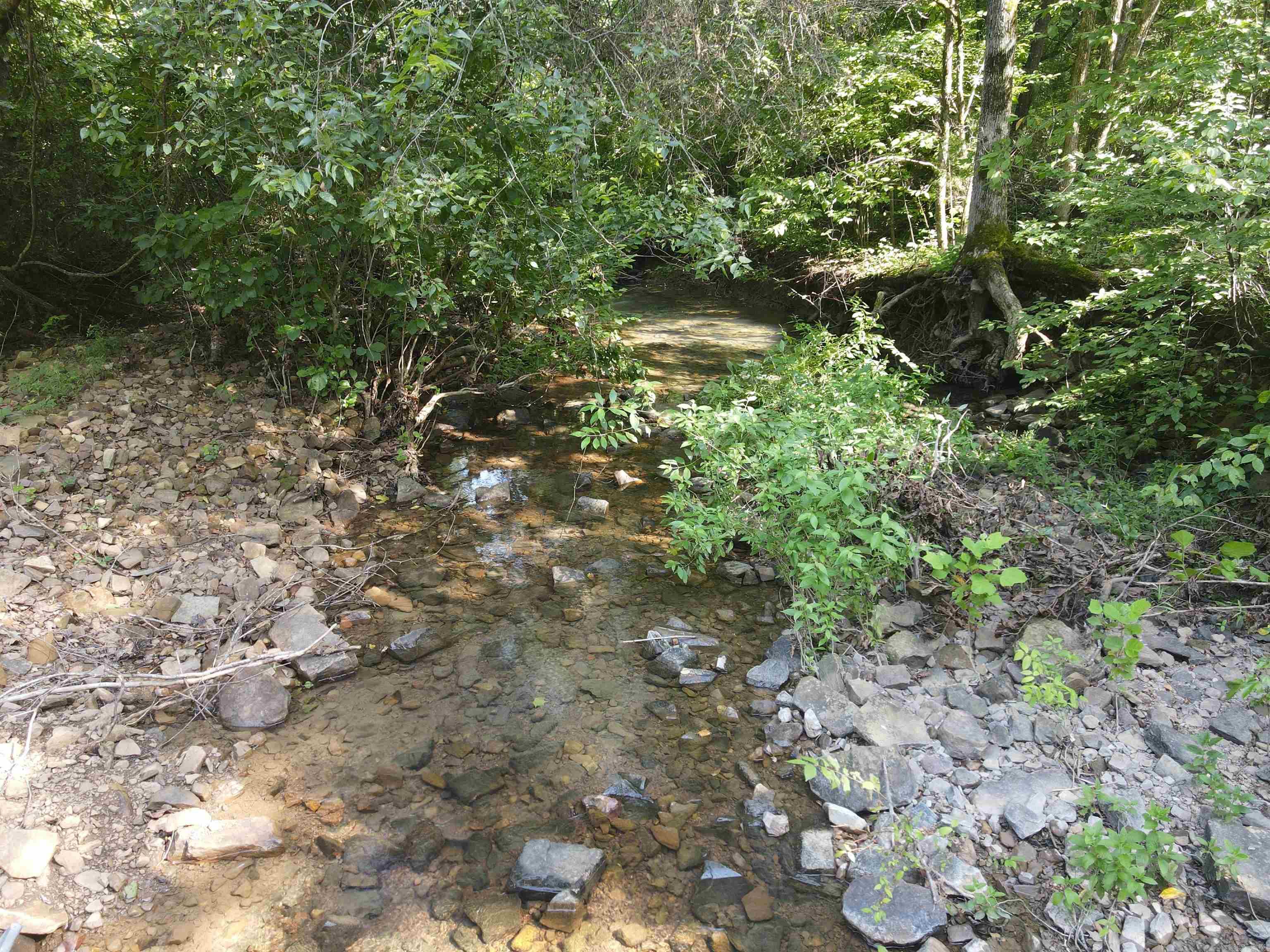 696 Old Highway 66  Leslie, AR