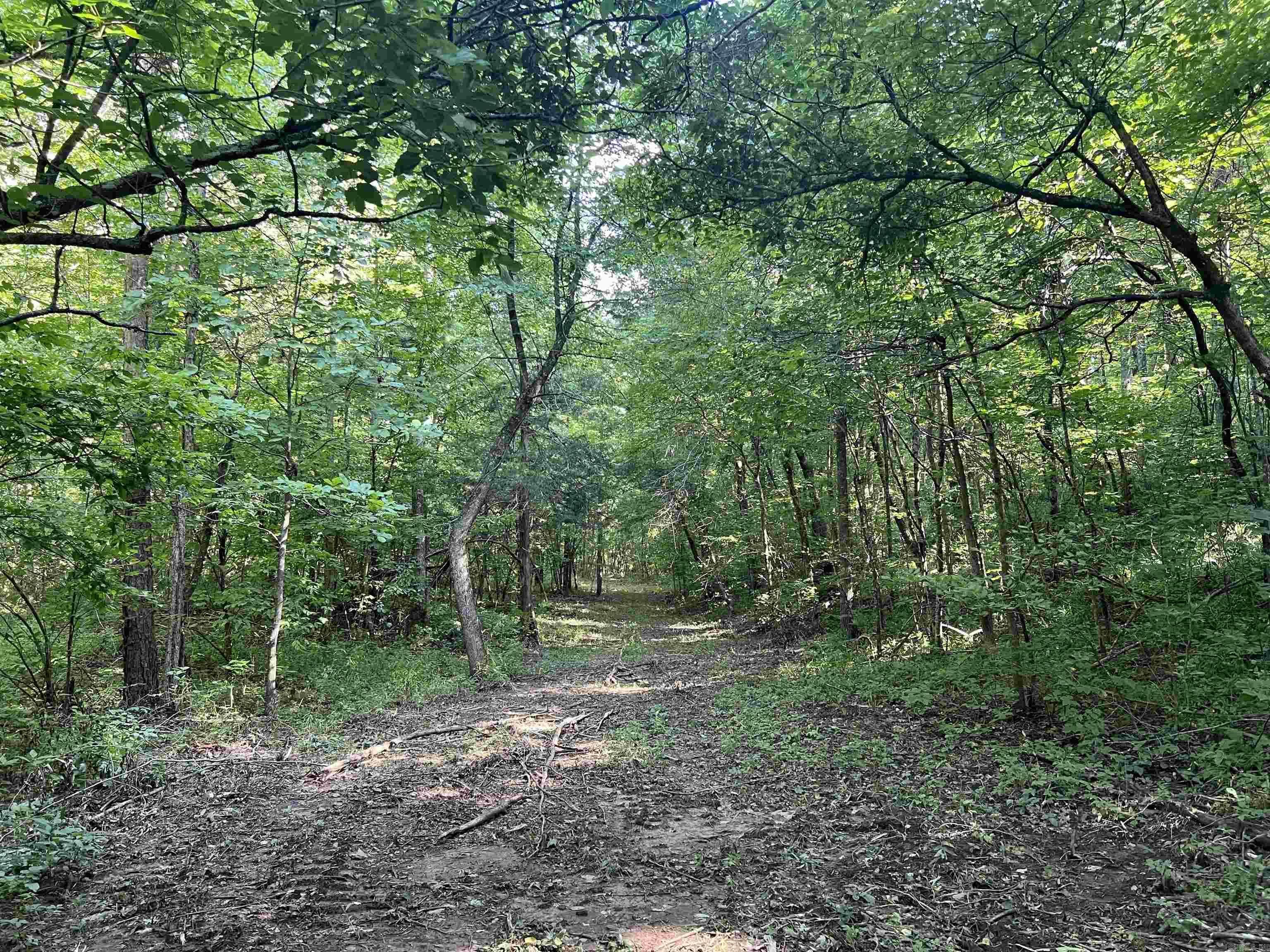 696 Old Highway 66  Leslie, AR