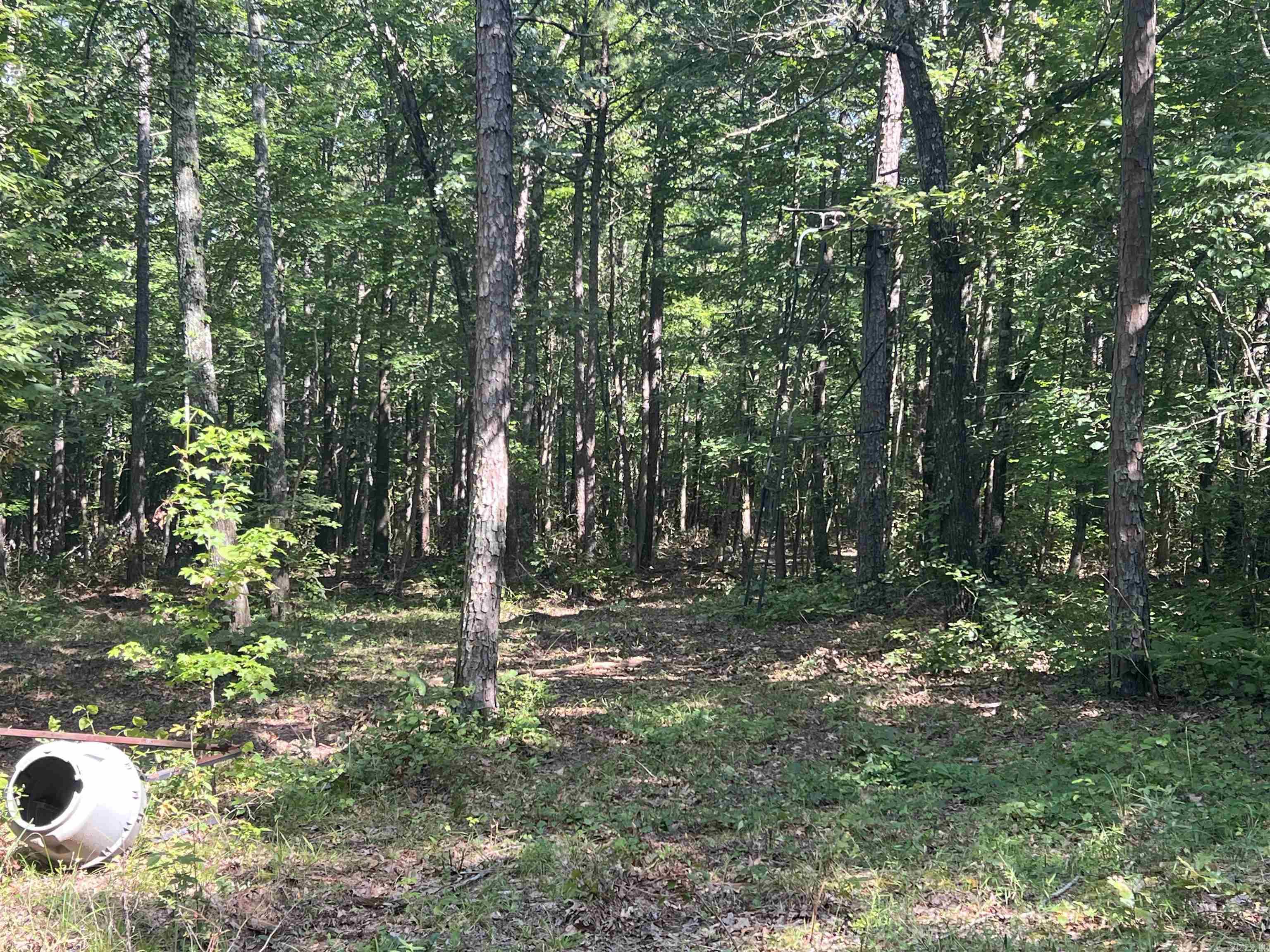 696 Old Highway 66  Leslie, AR