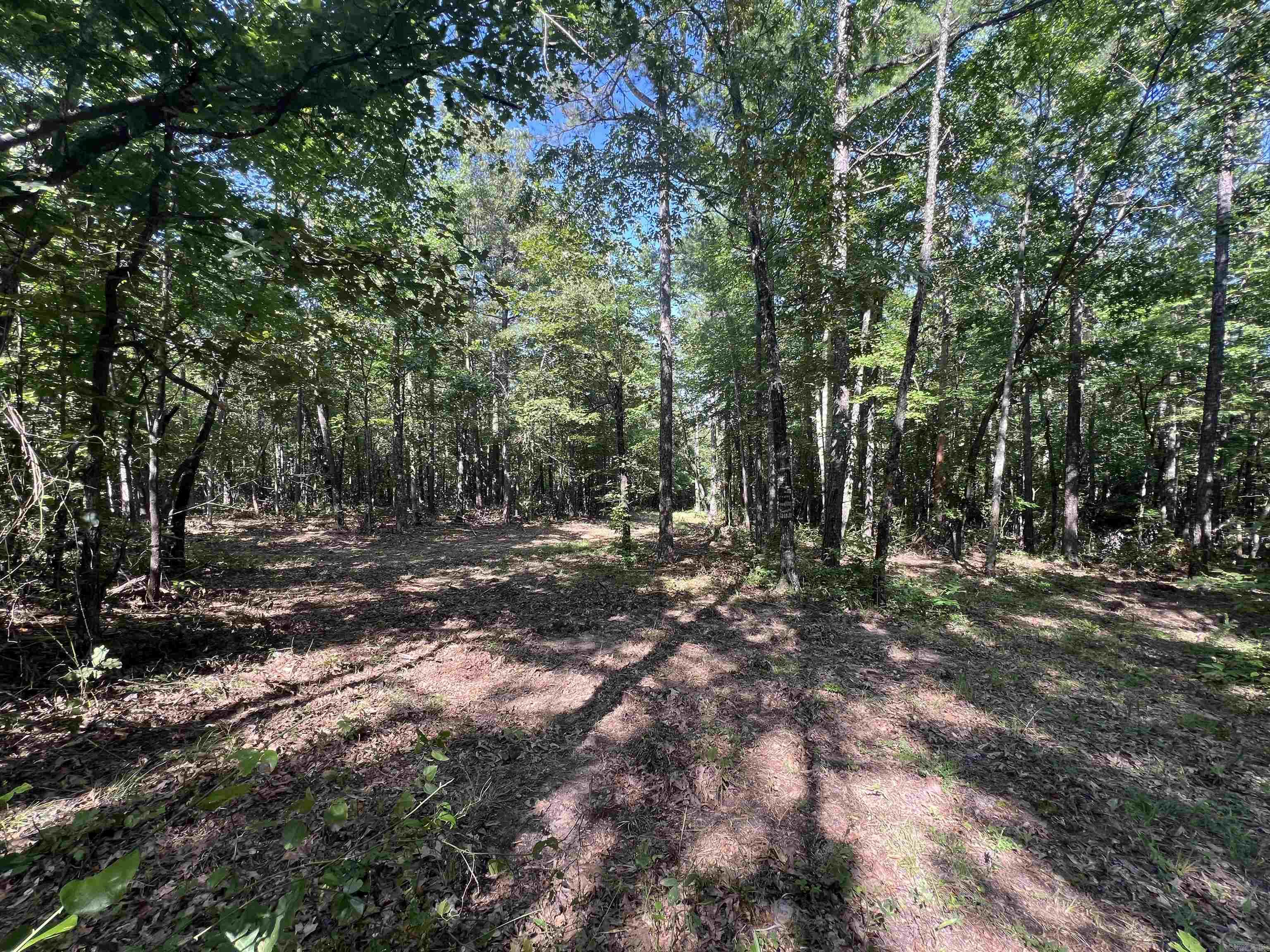 696 Old Highway 66  Leslie, AR
