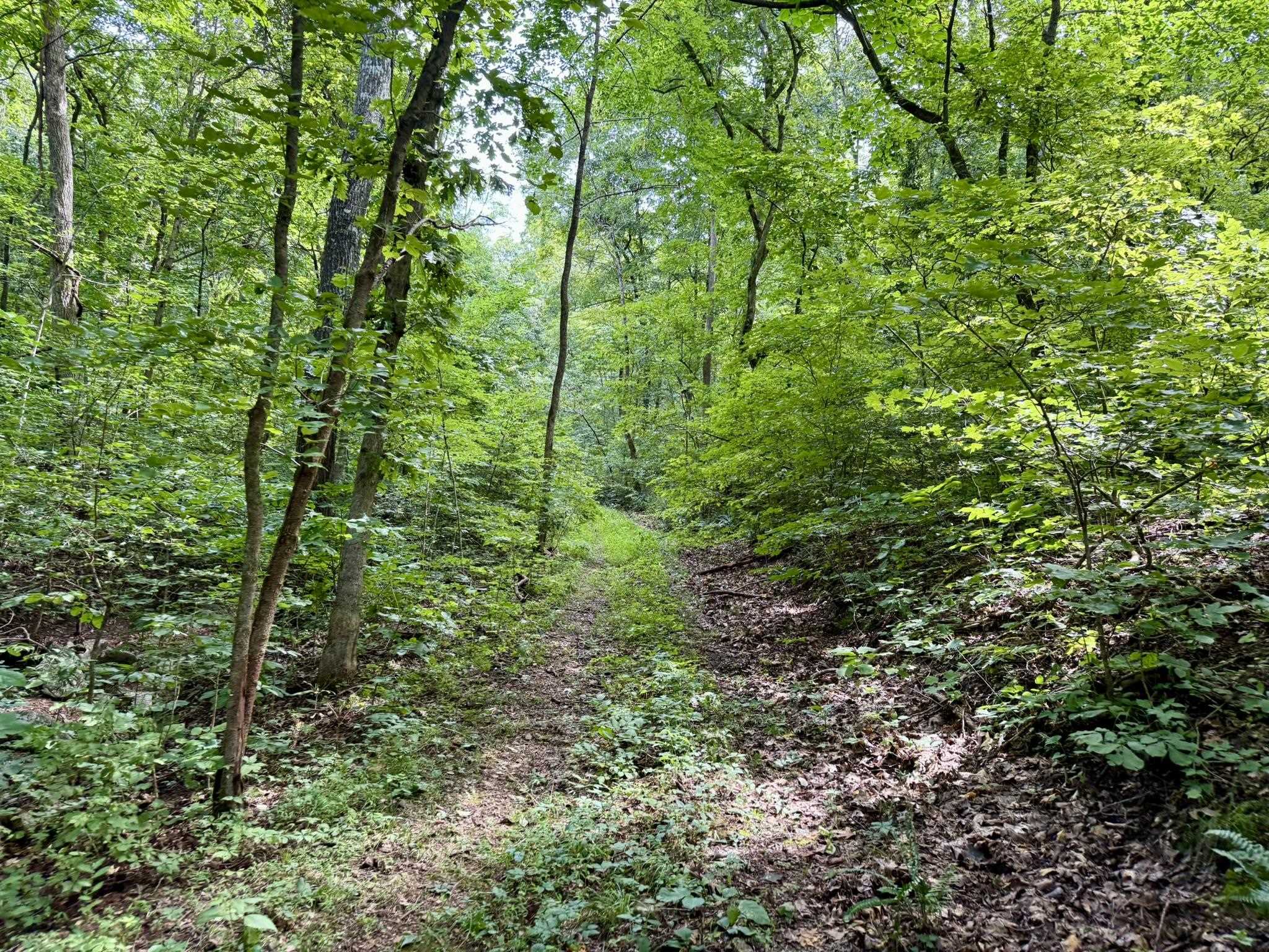 2061 McKnight Road  Guion, AR