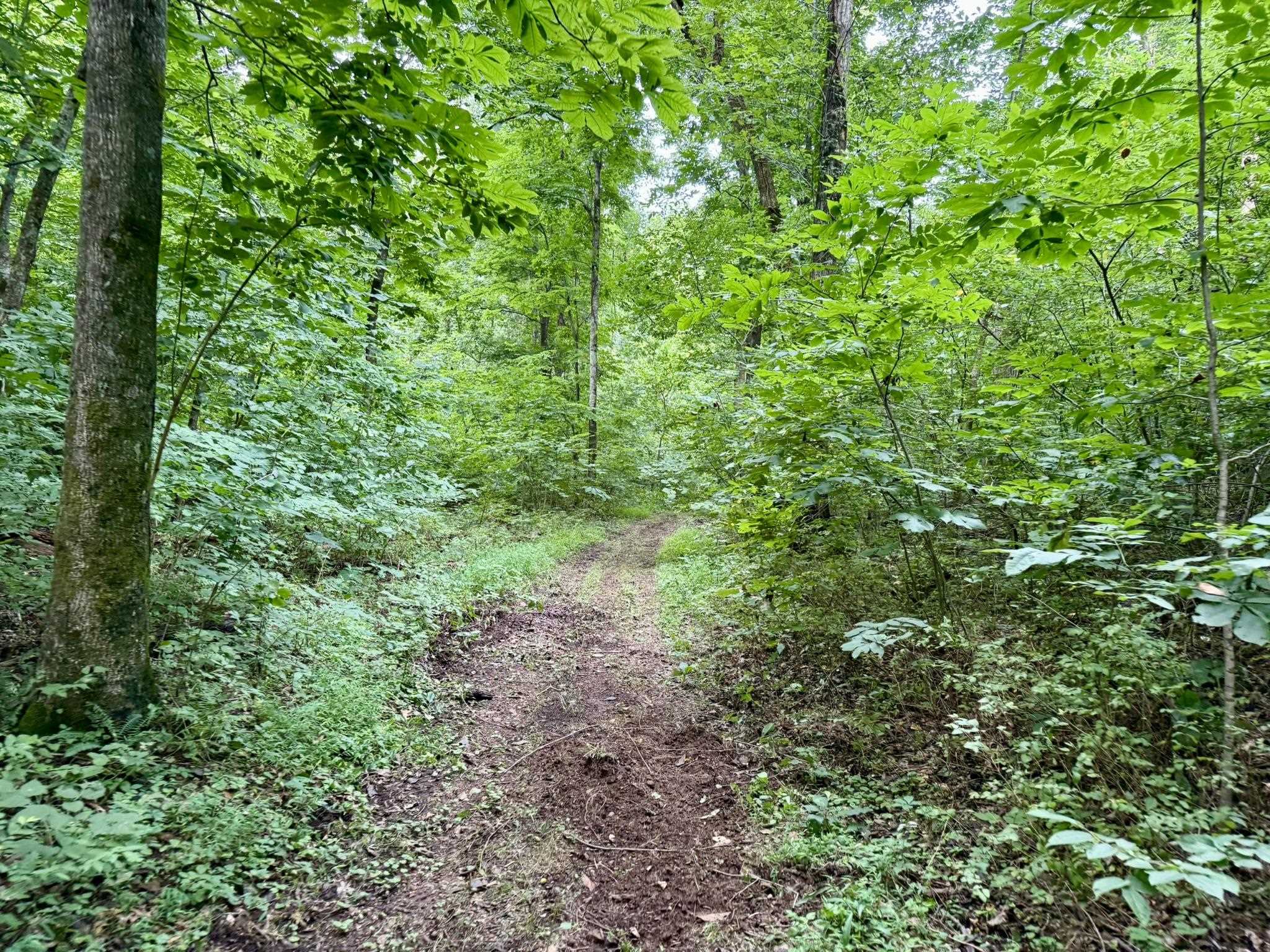 2061 McKnight Road  Guion, AR