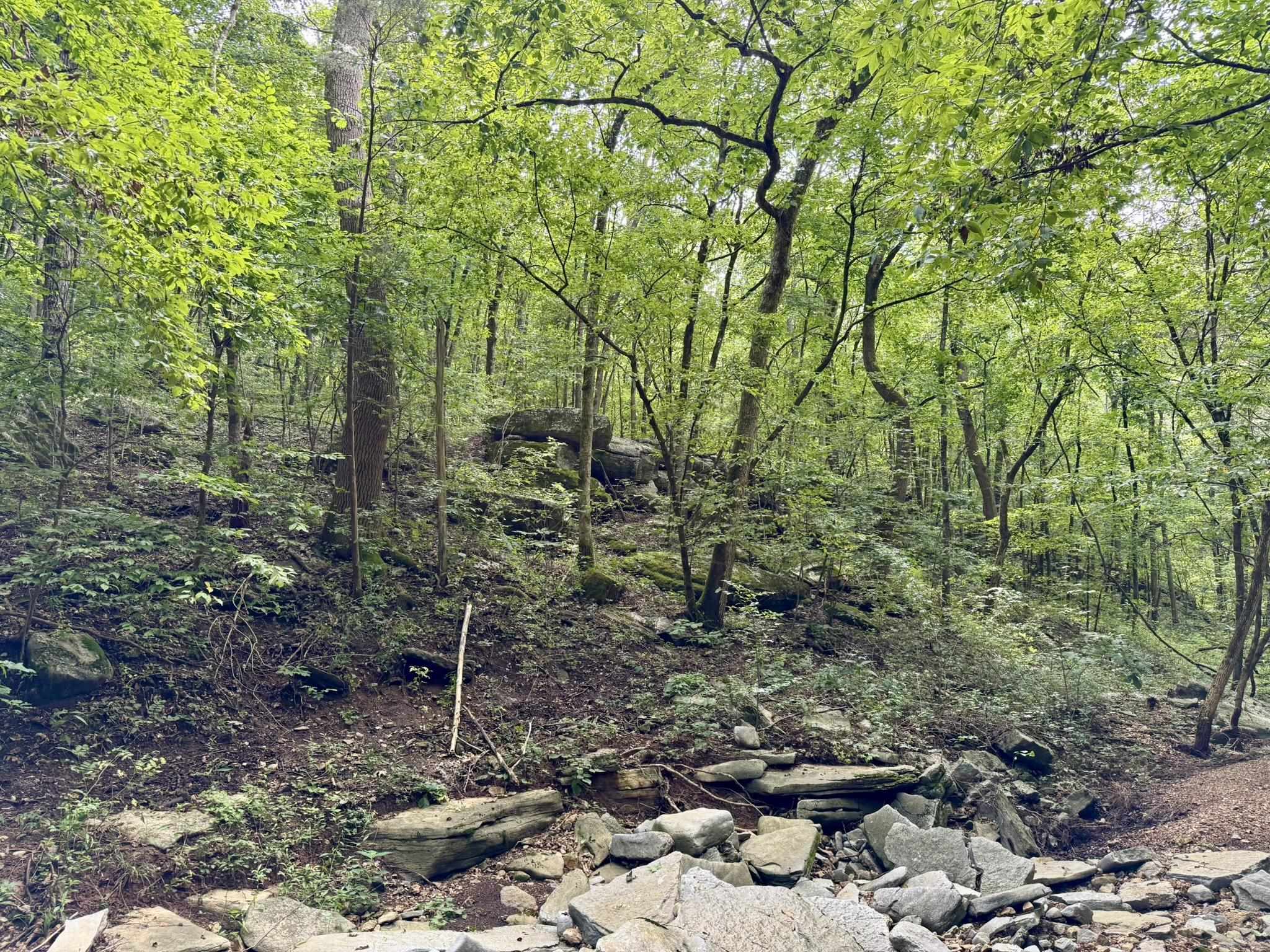 2061 McKnight Road  Guion, AR