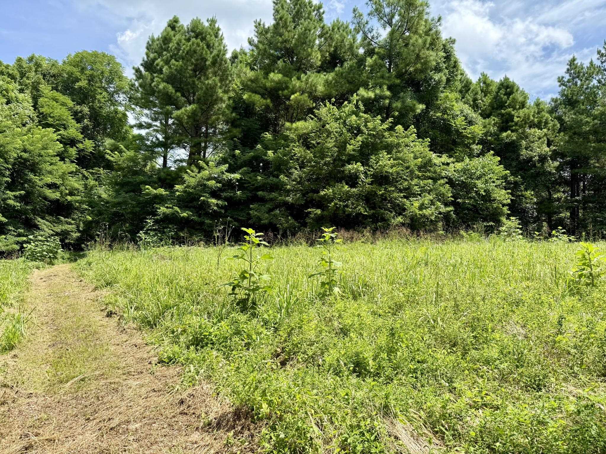 2061 McKnight Road  Guion, AR