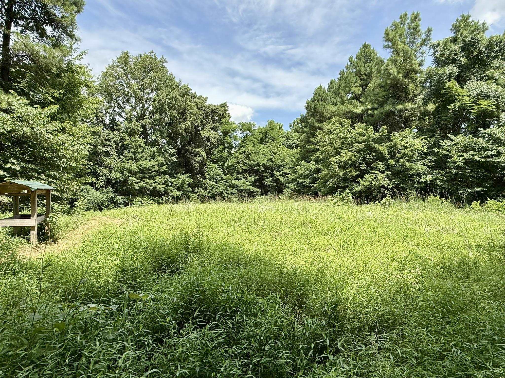 2061 McKnight Road  Guion, AR