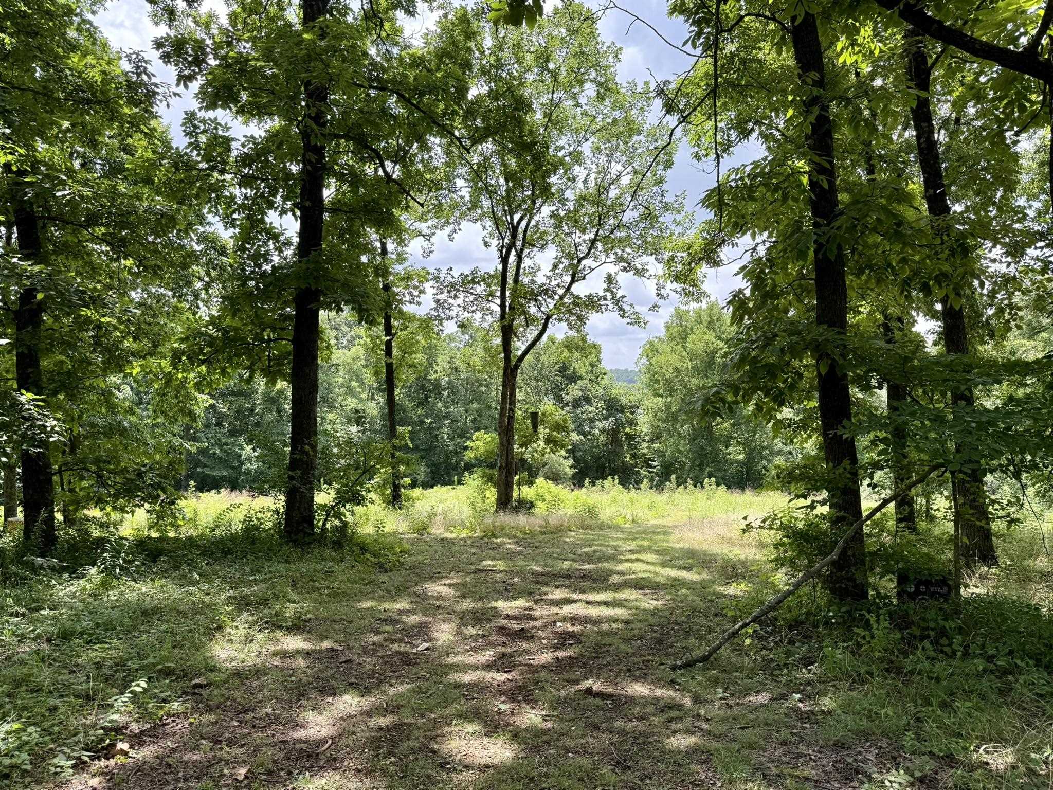 2061 McKnight Road  Guion, AR