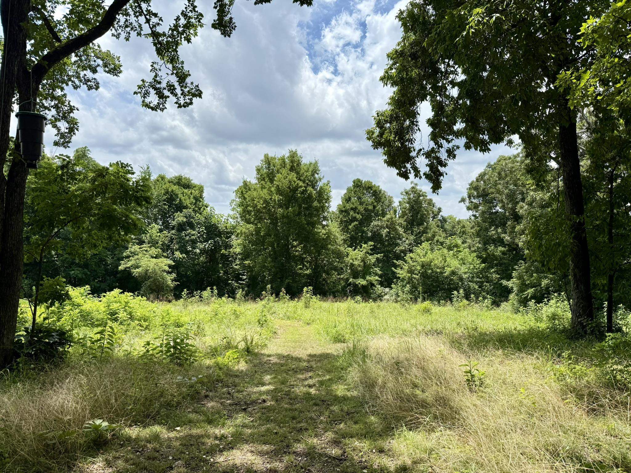 2061 McKnight Road  Guion, AR