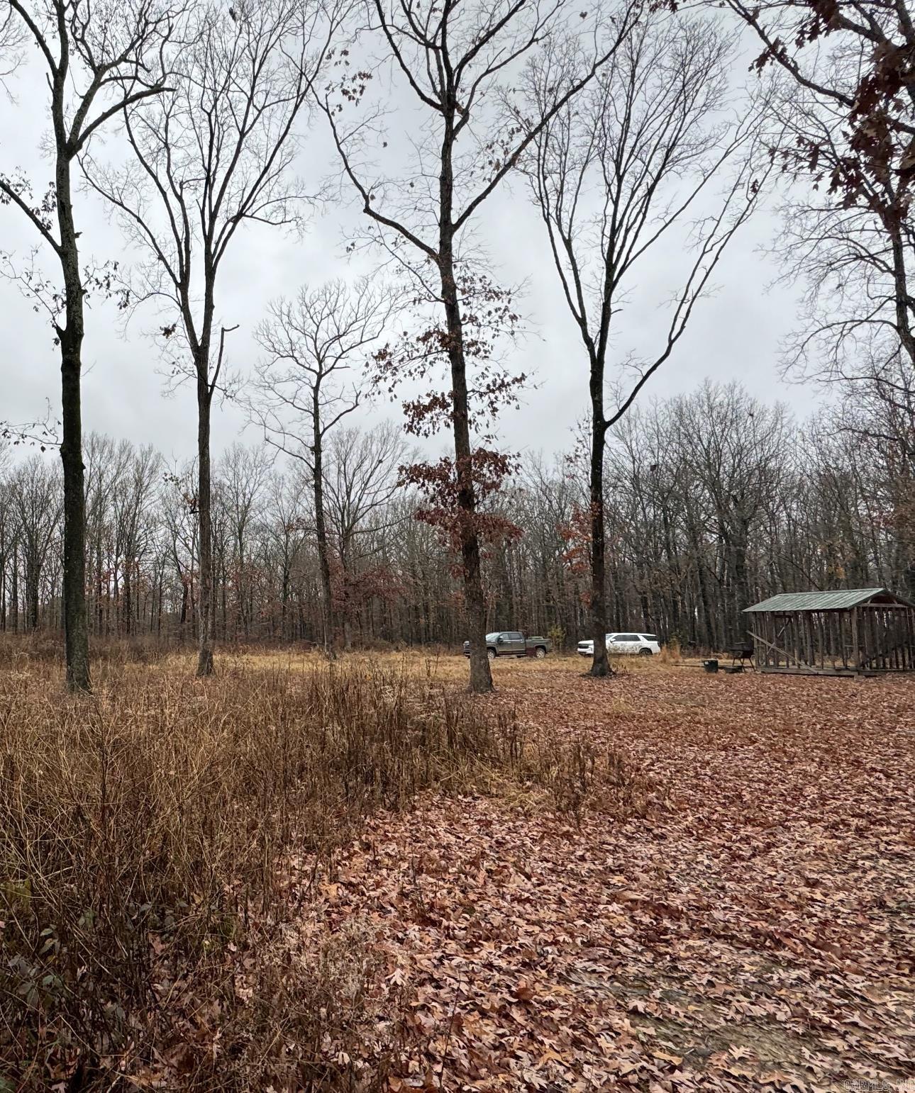 35 Woodruff 371  McCrory, AR