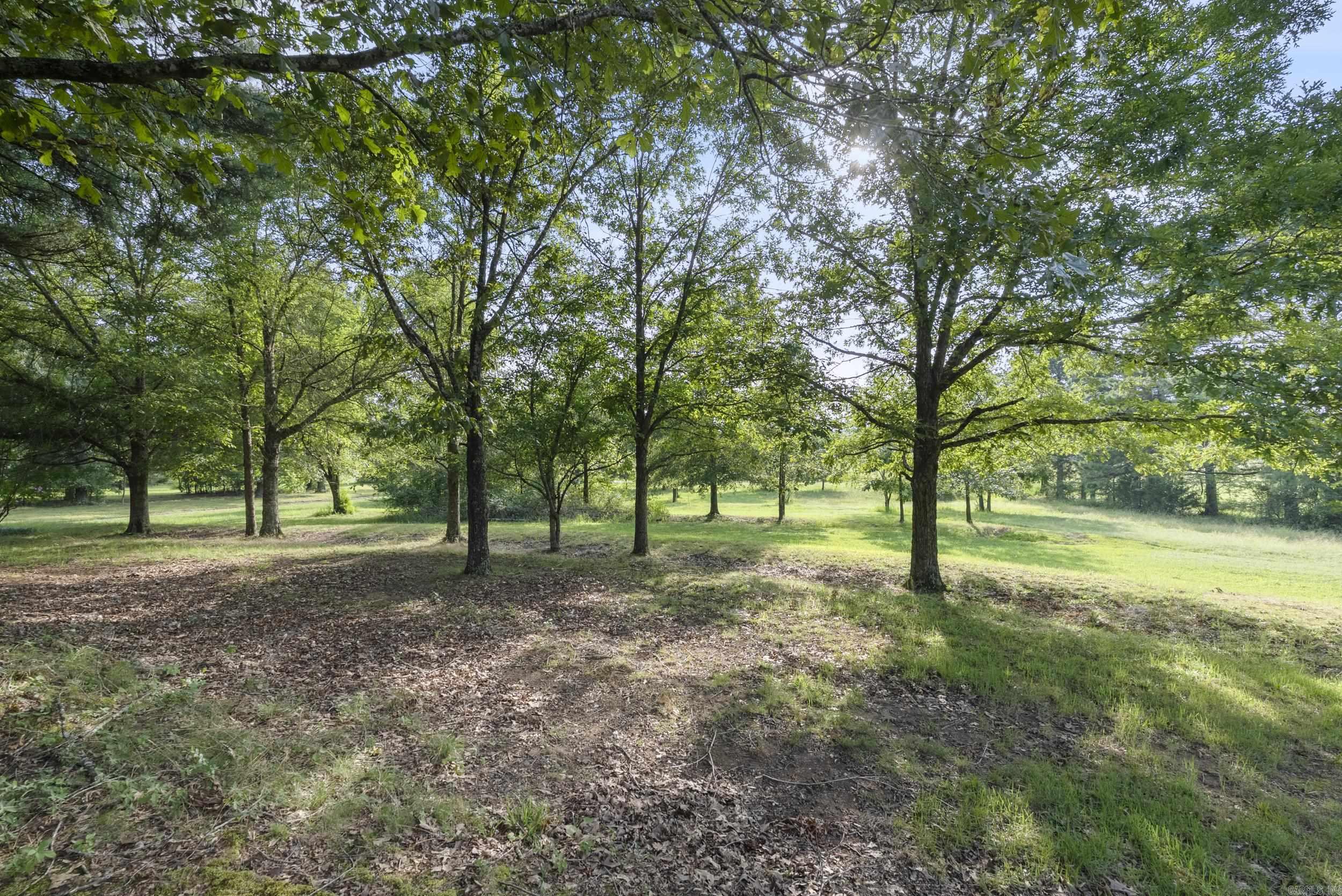 323 Nicholson  Searcy, AR
