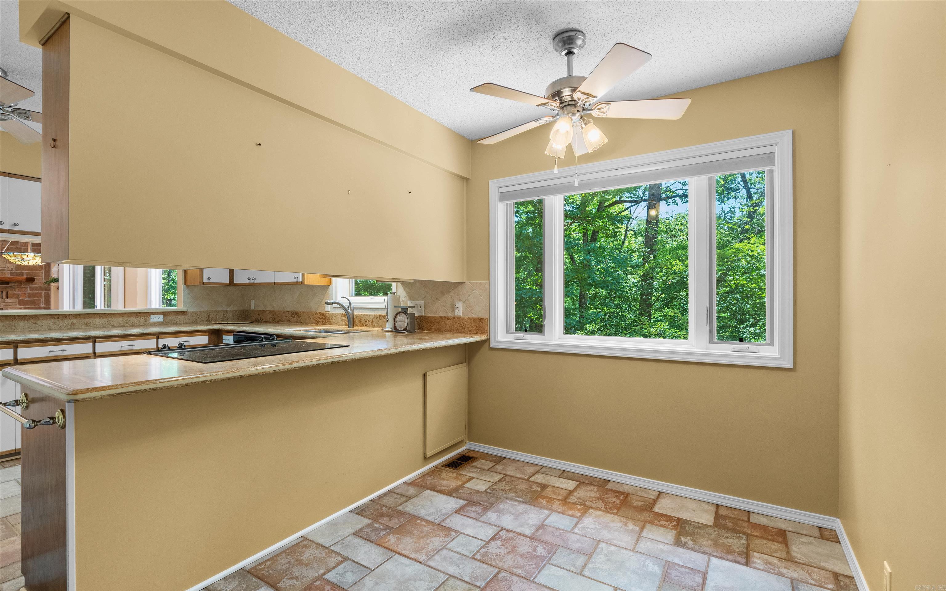 25 Costa Del Lago  Hot Springs Village, AR