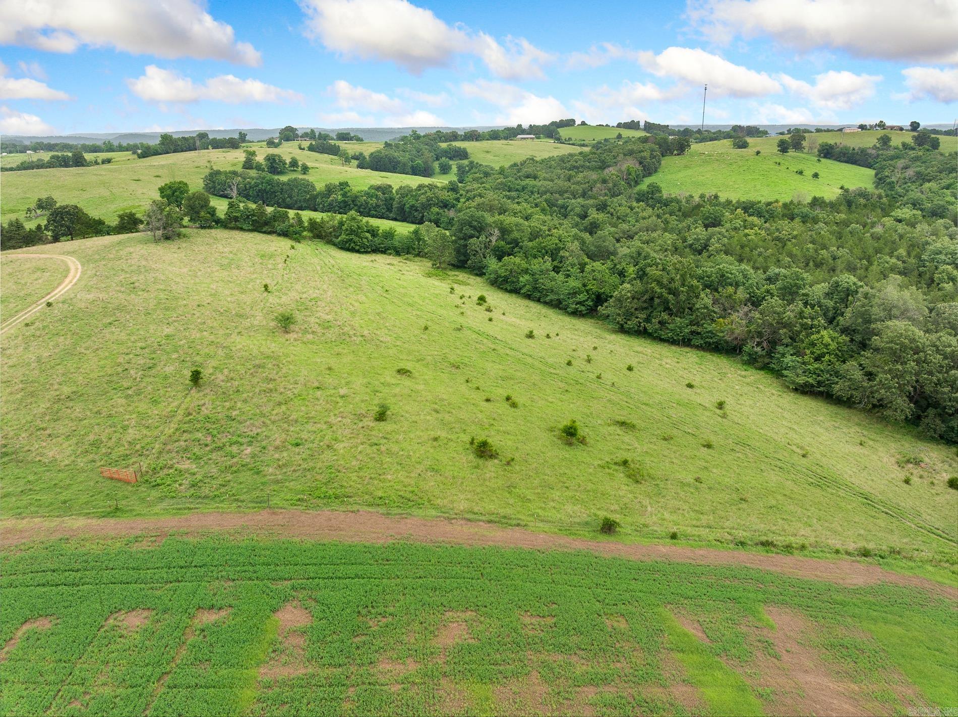 1100 Marion County 4013 Harrison, AR 72601