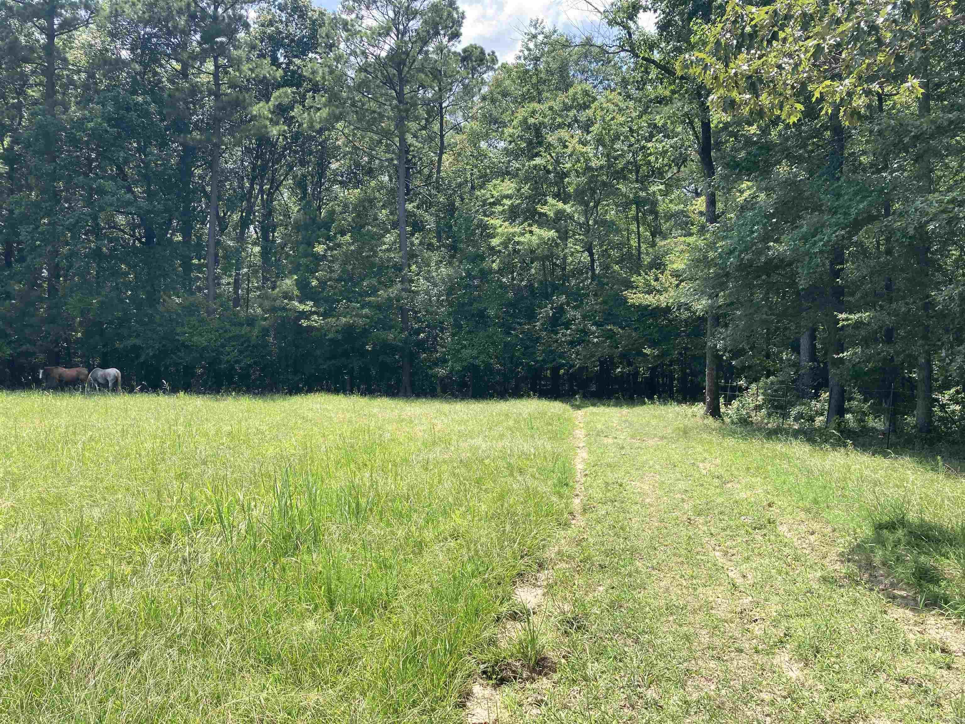 0 Kankakee  Pine Bluff, AR