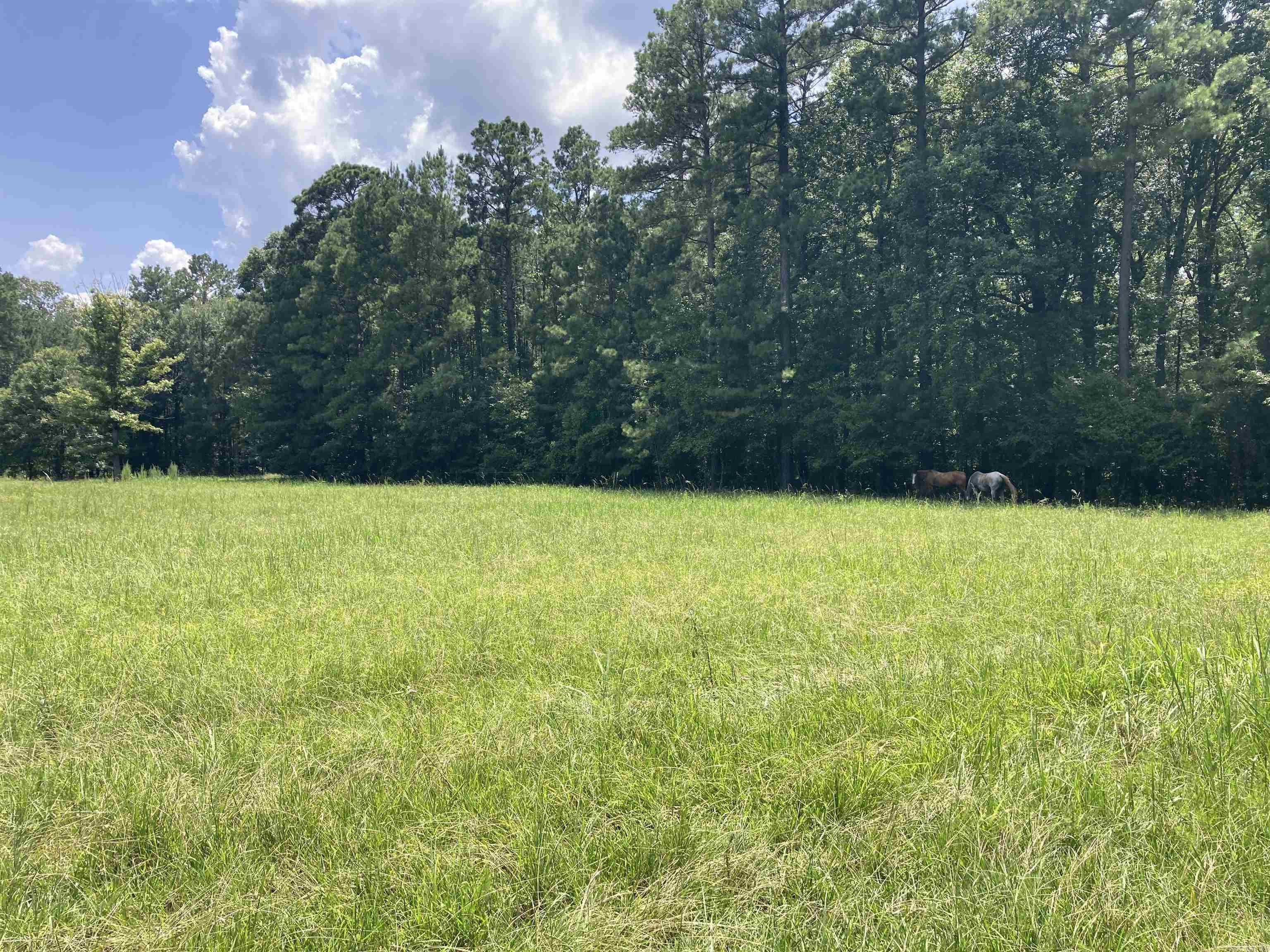 0 Kankakee  Pine Bluff, AR