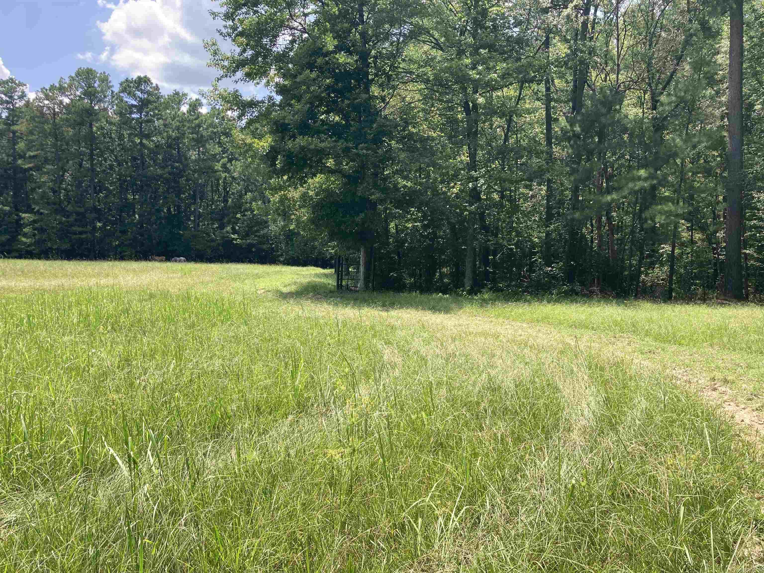 0 Kankakee  Pine Bluff, AR