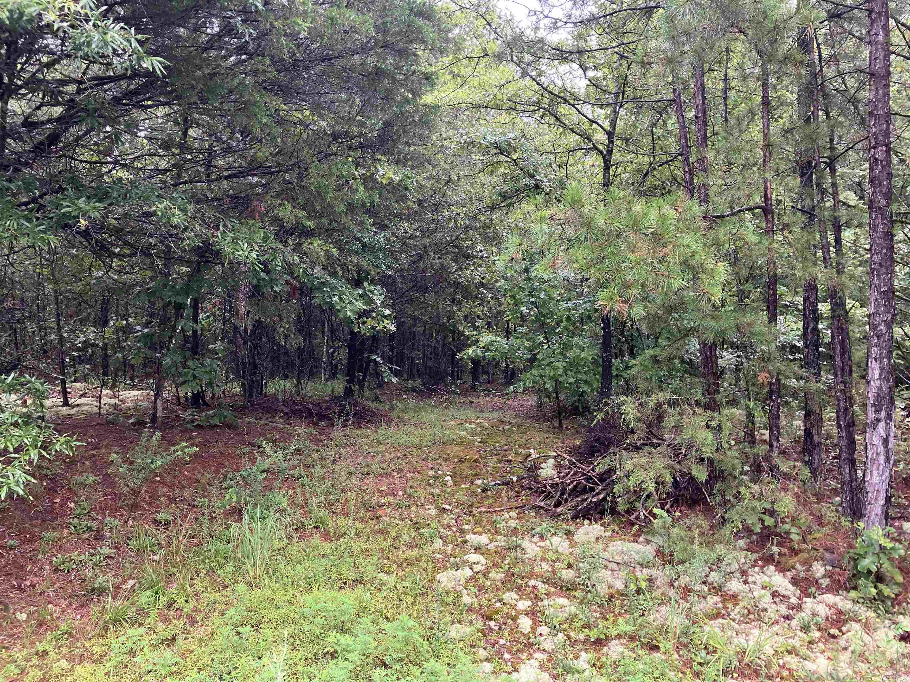 TBD Riverfront Dr.  Pencil Bluff, AR