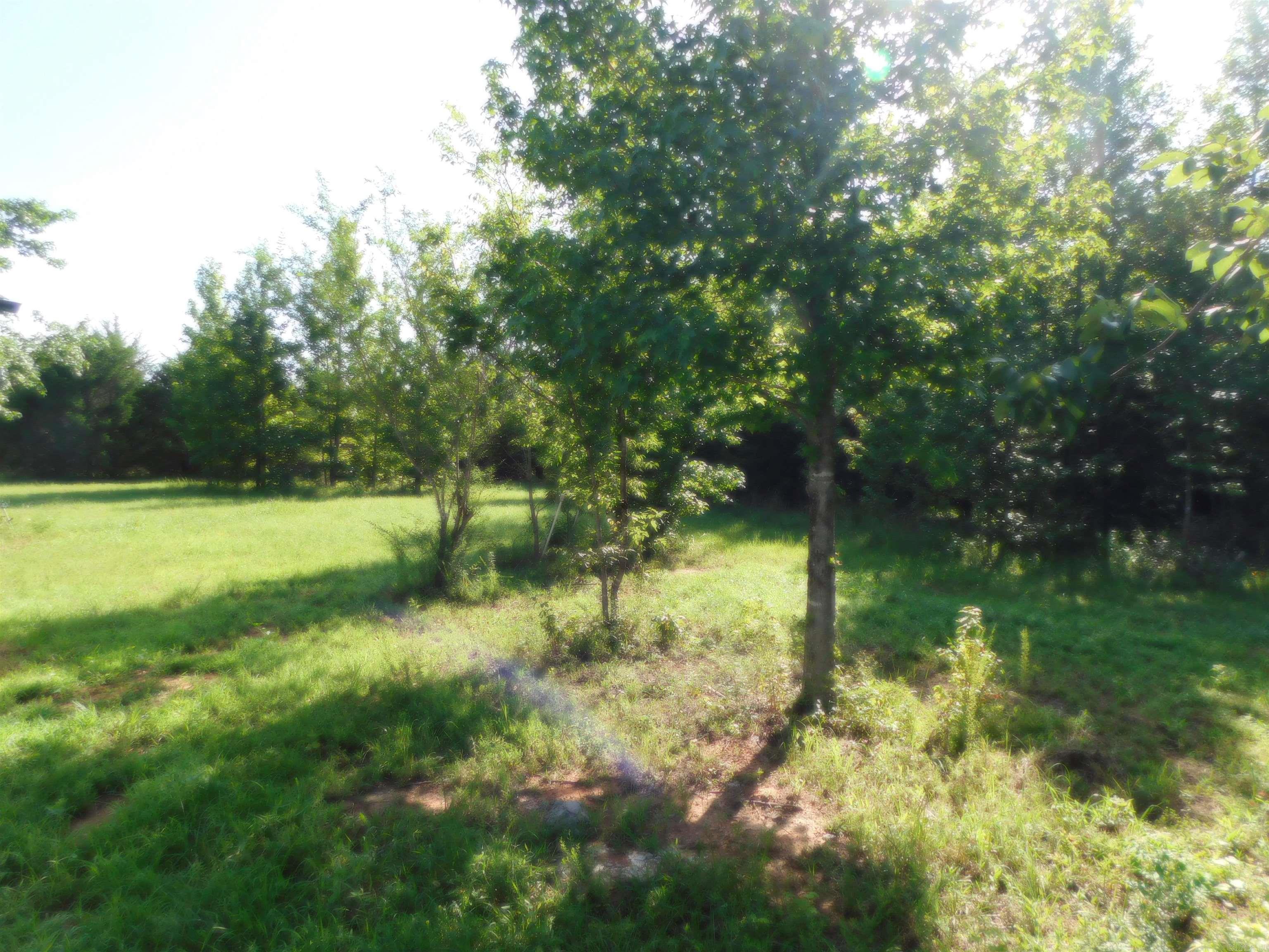 571 Daffodil  Romance, AR