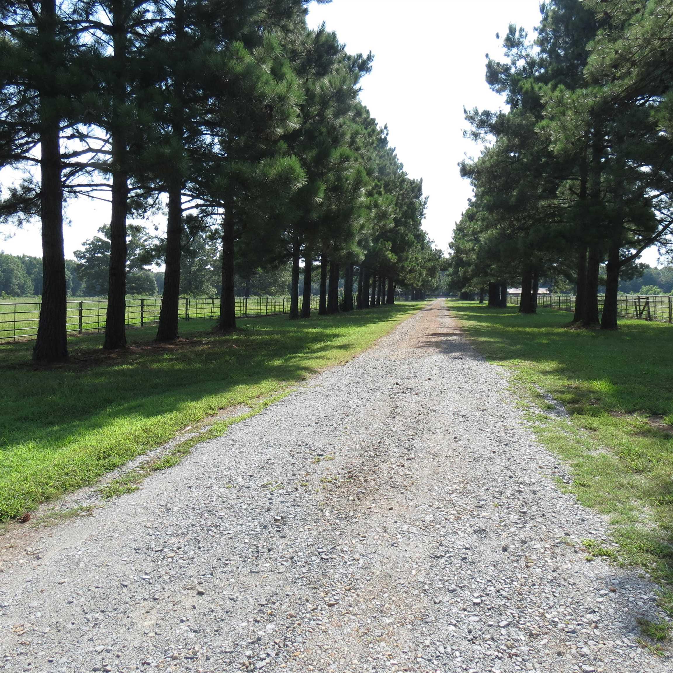 9201 Old Warren  Pine Bluff, AR
