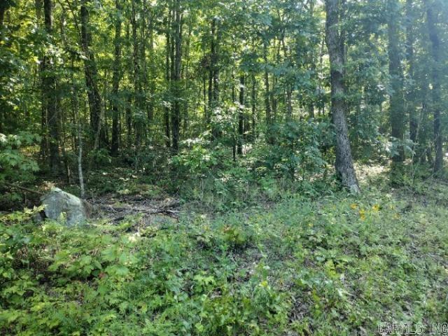 760 Fayette  Clinton, AR