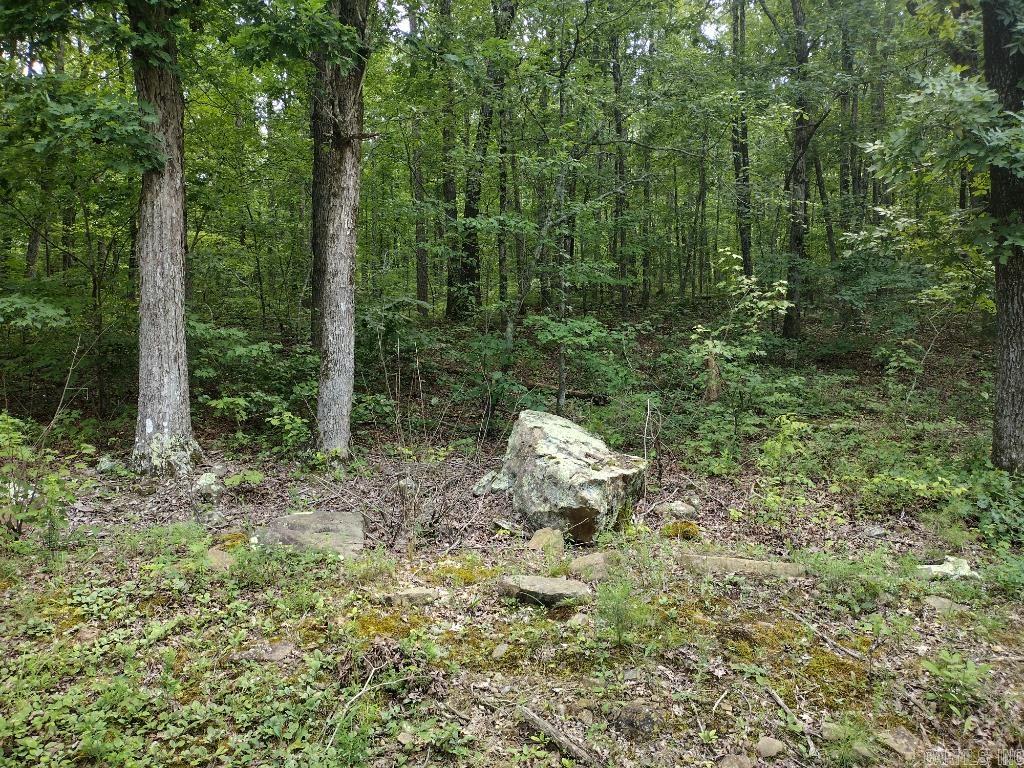 760 Fayette  Clinton, AR