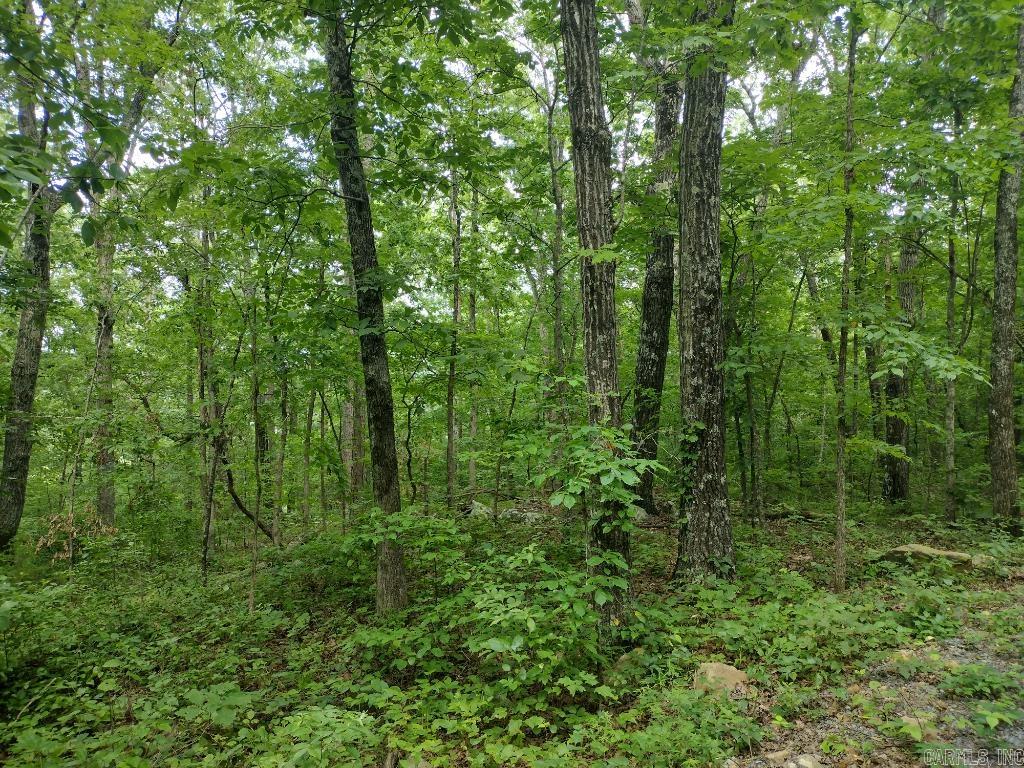 760 Fayette  Clinton, AR