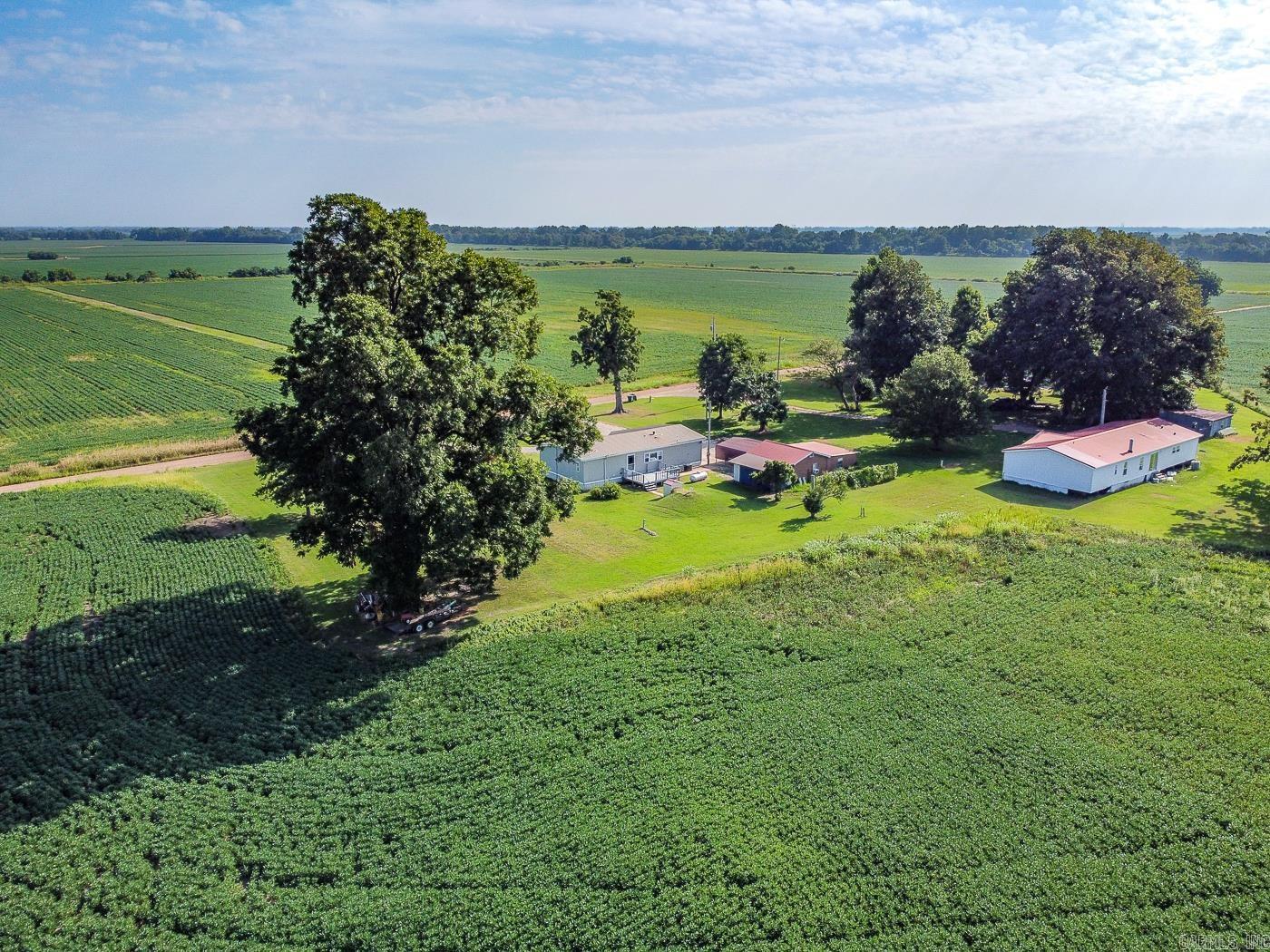 35288 Loudermilk Rd Road Tyronza, AR 72386