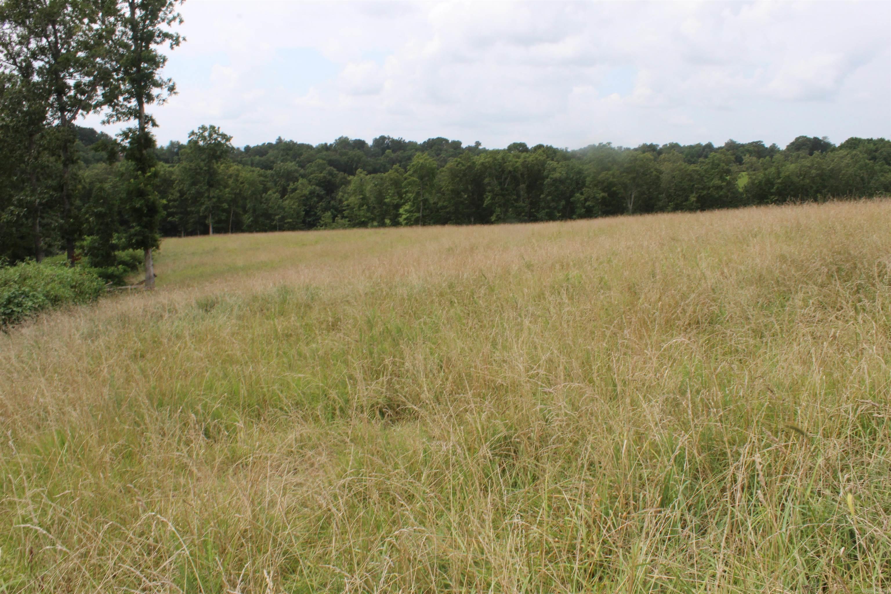 8883 N Highway 27  Marshall, AR