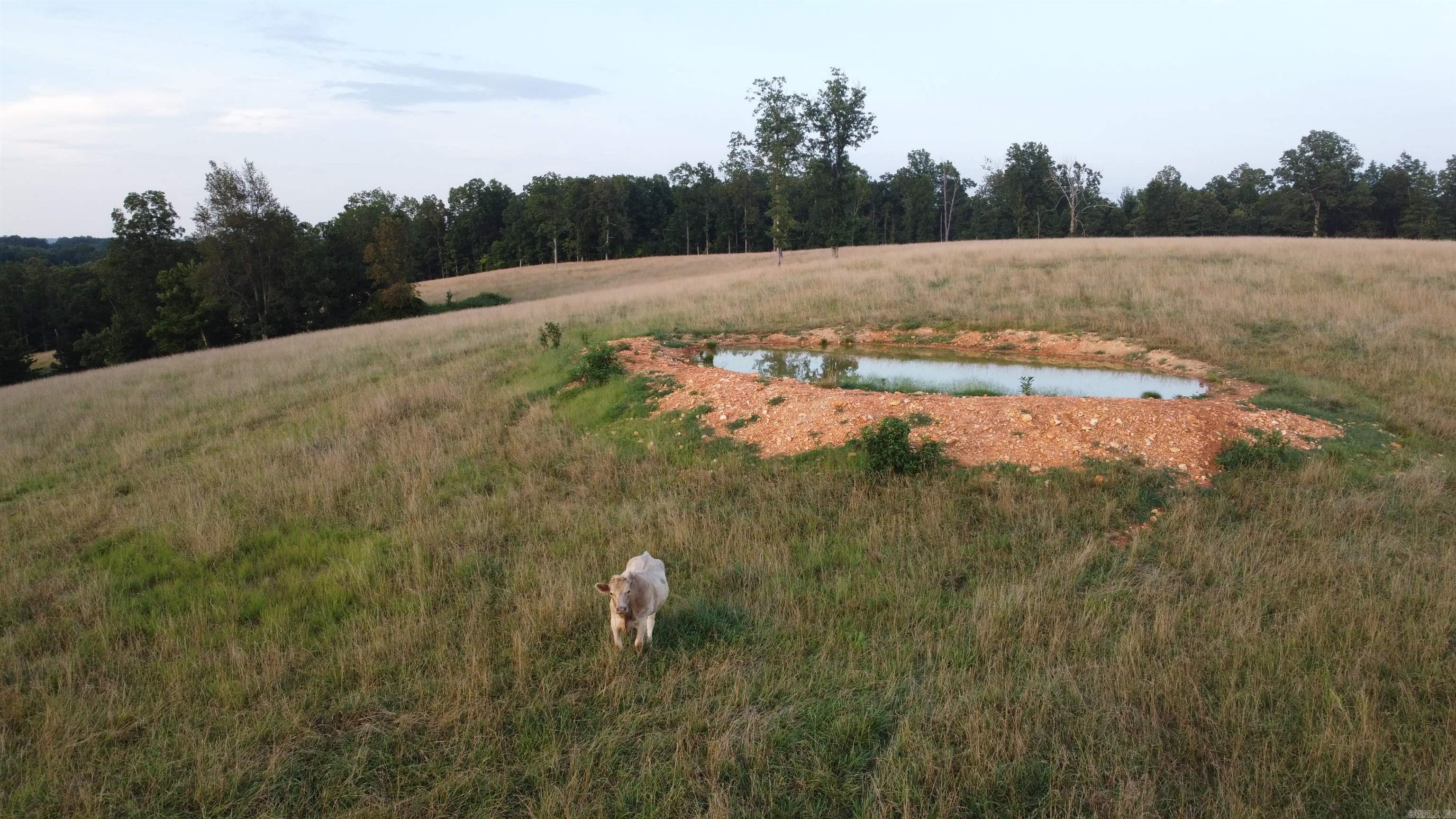 8883 N Highway 27  Marshall, AR