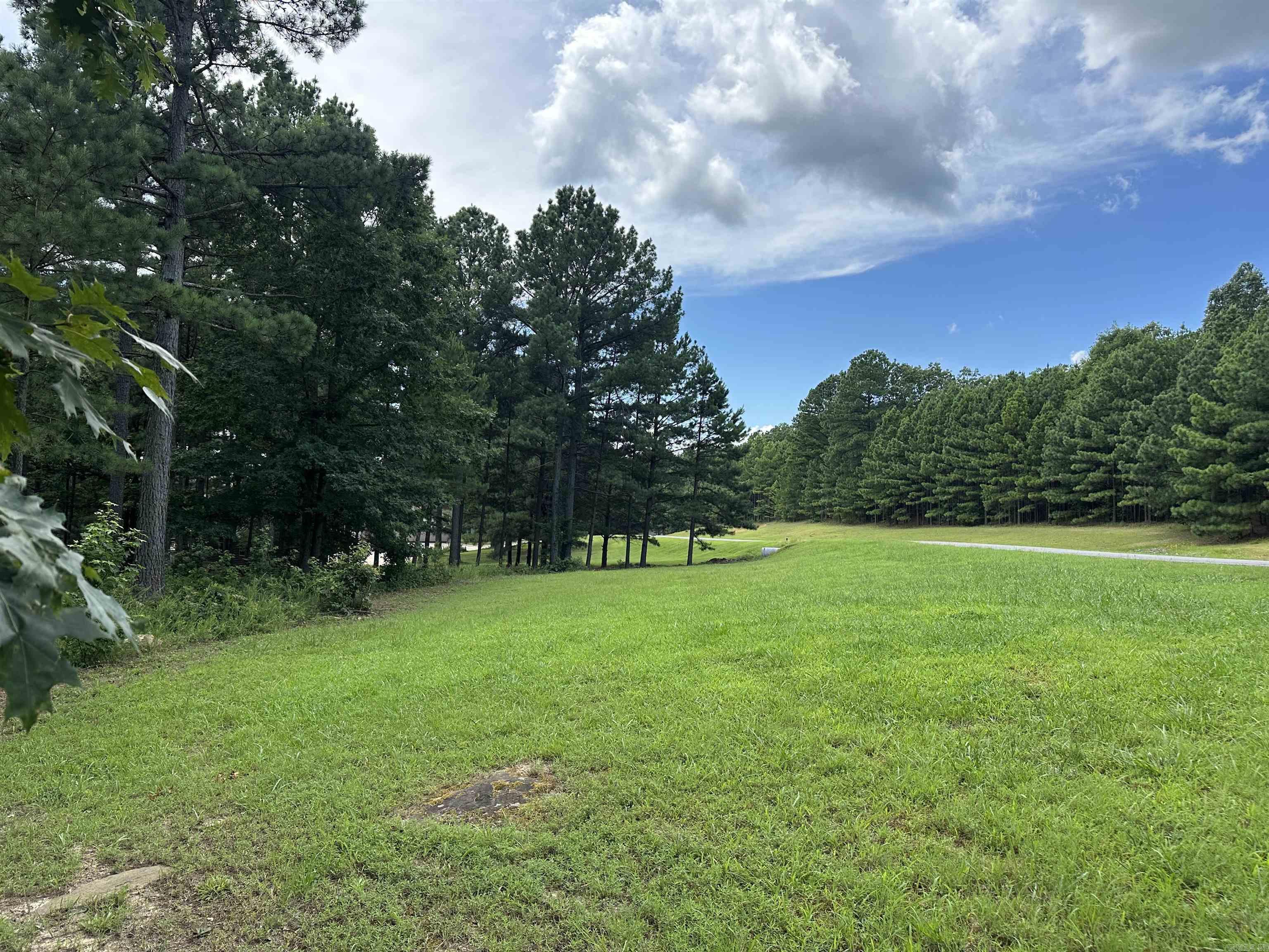 000 Citation Rd HOLLY  MTN. AIRPARK , SOUTH RIDGE Clinton, AR